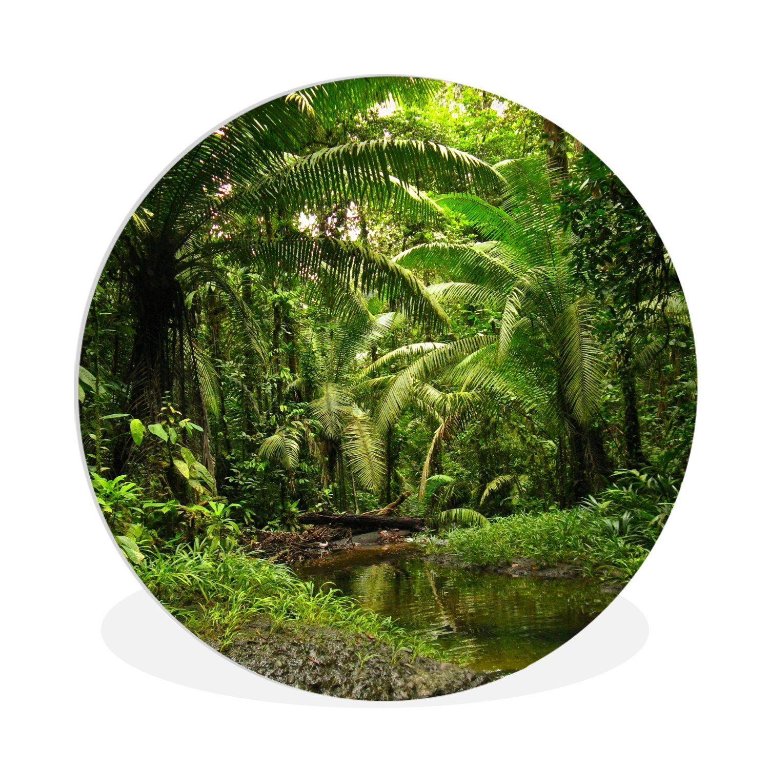 MuchoWow Gemälde Tropischer Regenwald in Kolumbien, (1 St), Kreis Wanddekoration Forex, Rundes Wandbild, Wohnzimmer, 30x30 cm