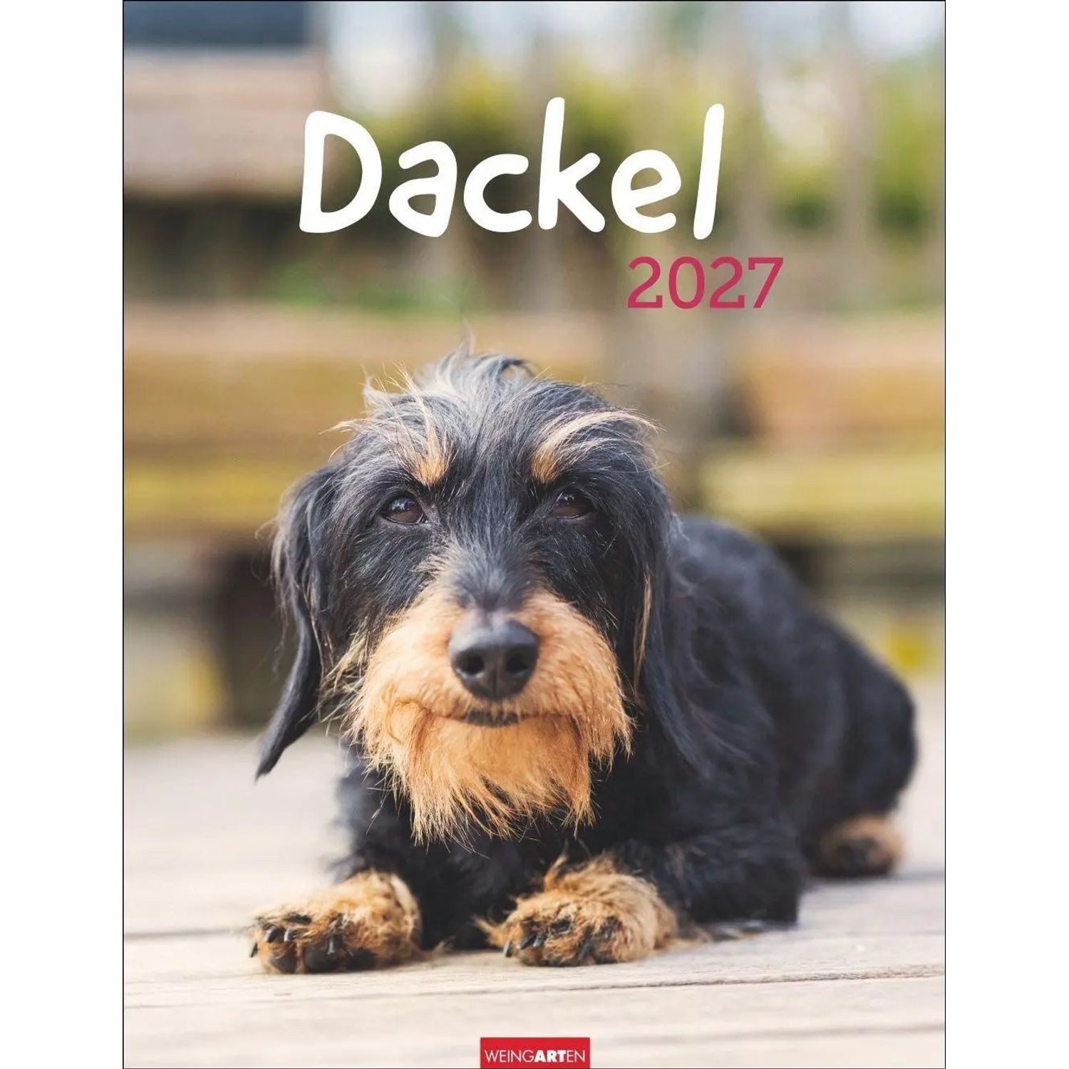 Wandkalender Dackel Kalender 2027