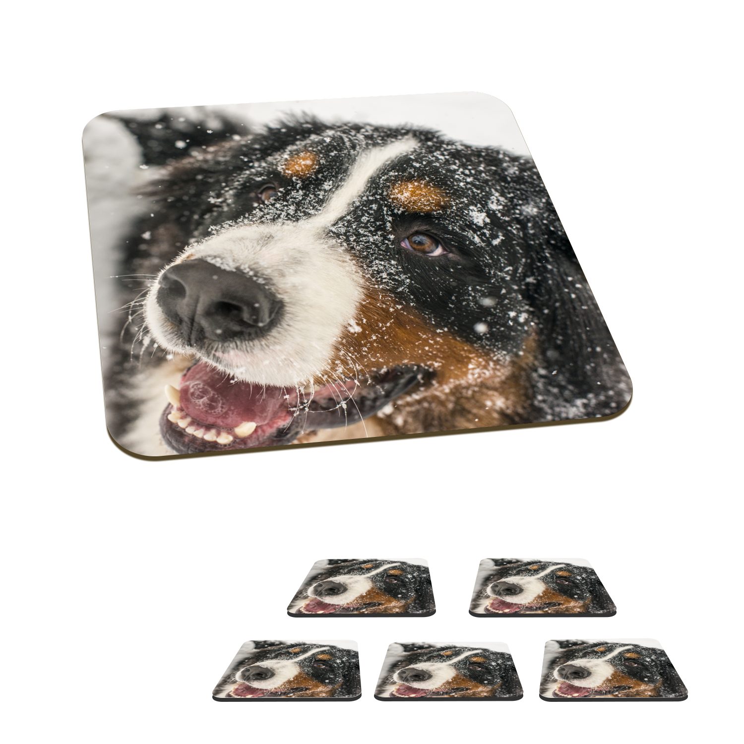 MuchoWow Glasuntersetzer Ein Berner Sennenhund unter dem Schnee, Zubehör für Gläser, 6-tlg., Glasuntersetzer, Tischuntersetzer, Korkuntersetzer, Untersetzer, Tasse