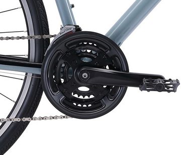 FUJI Bikes Fitnessbike Absolute 2.1, 21 Gang Shimano Tourney Schaltwerk, Kettenschaltung, für Herren, Kettenschaltung