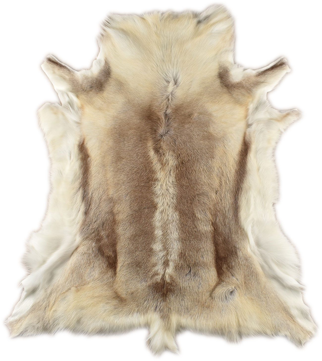 KUHFELL online & NOMAD Fellteppich Rentierfell hellgrau beige – echtes Rentierfell 120 x 100 cm dekorativ, Einzellstück