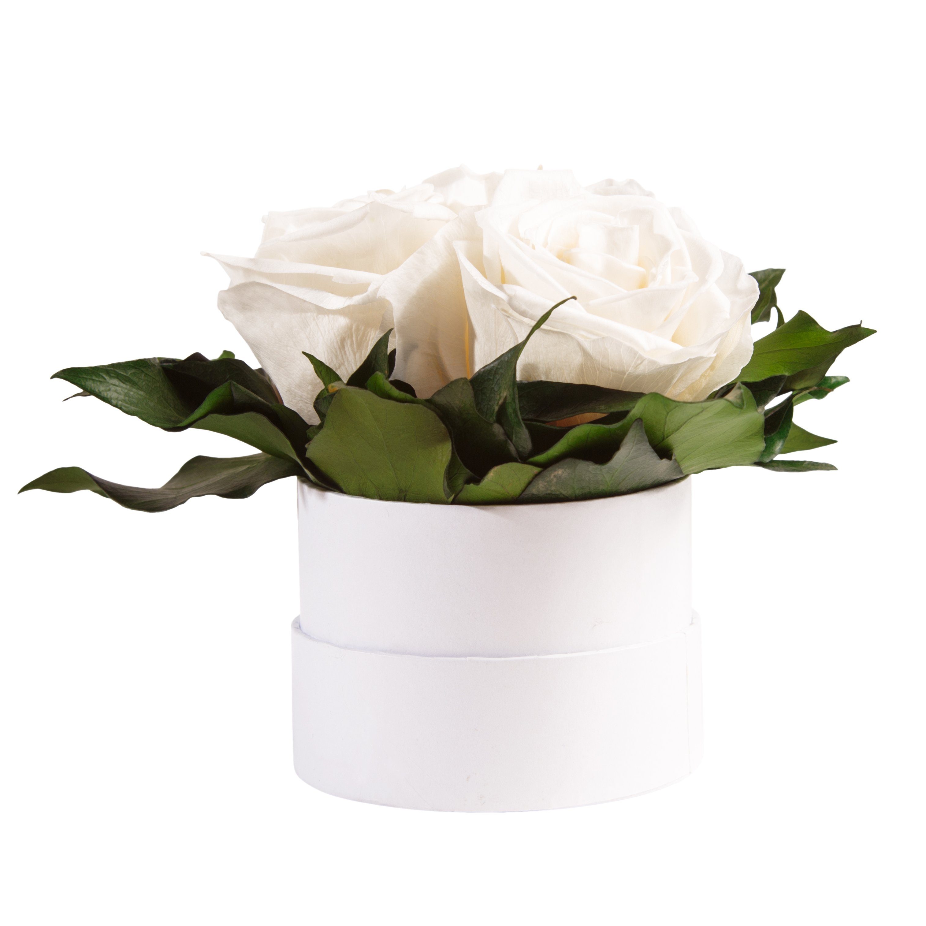 Kunstblume Infinity für Geschenk Heidelberg, ROSEMARIE Rosenbox 3 cm, echte rund Rosen weiß Sie Rosen Höhe SCHULZ Rose, 10 konserviert