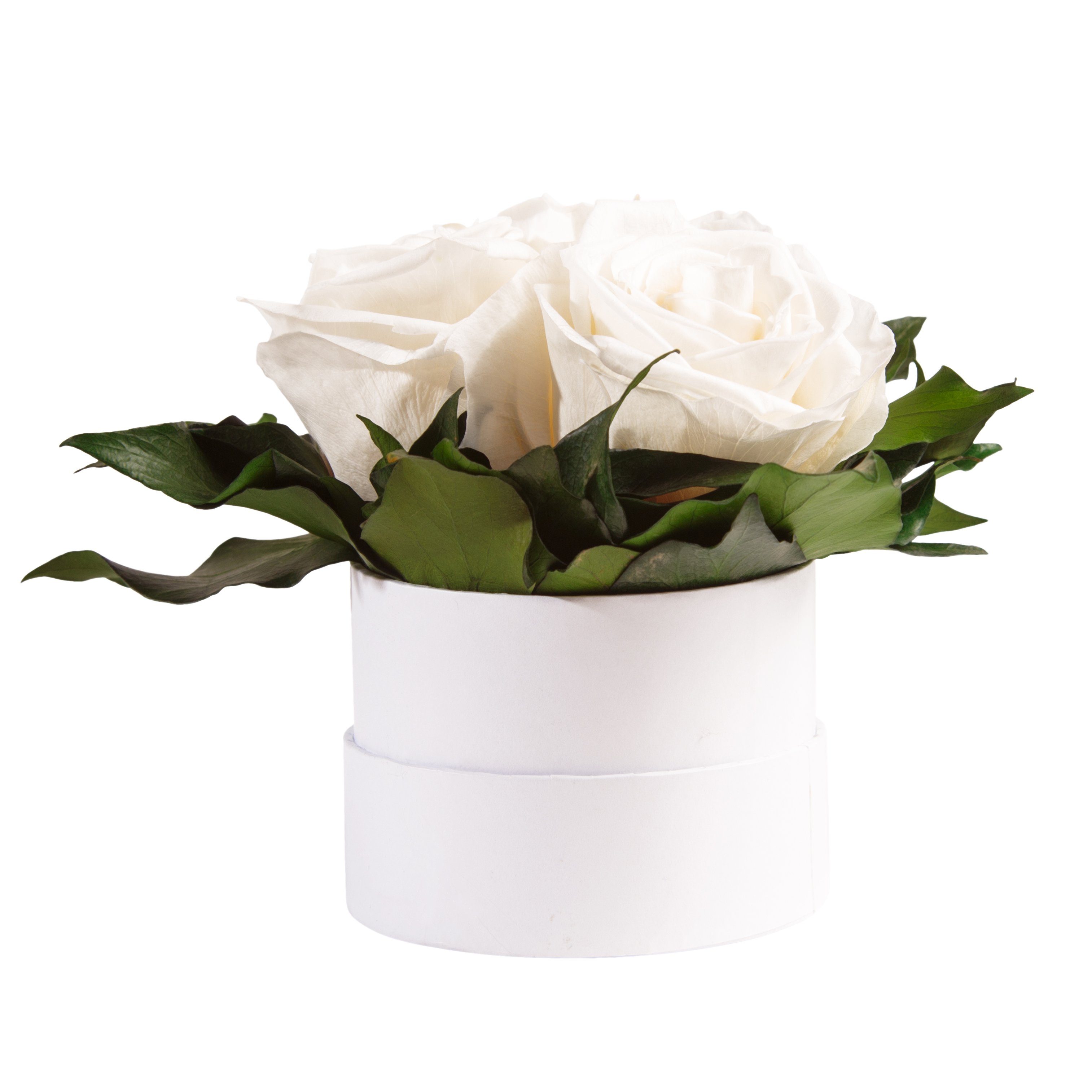 Kunstblume Infinity Rosenbox weiß rund 3 günstig online kaufen