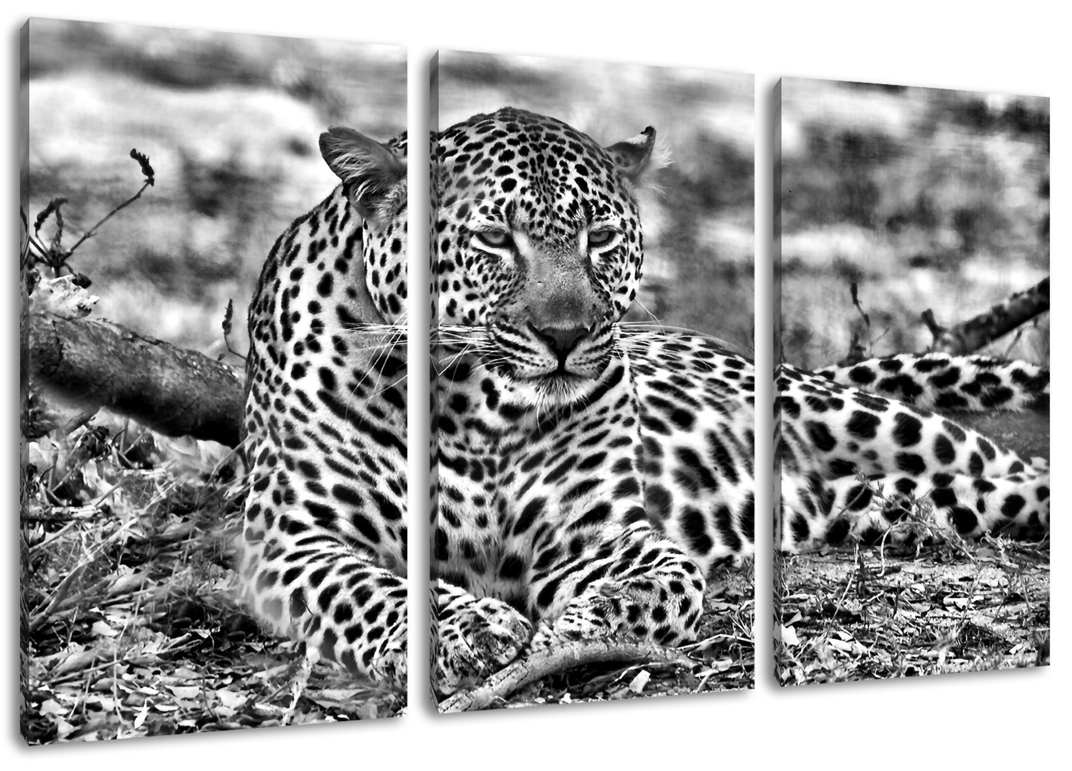 Pixxprint Leinwandbild liegender Leopard im Laub, liegender Leopard im Laub 3Teiler (120x80cm) (1 St), Leinwandbild fertig bespannt, inkl. Zackenaufhänger