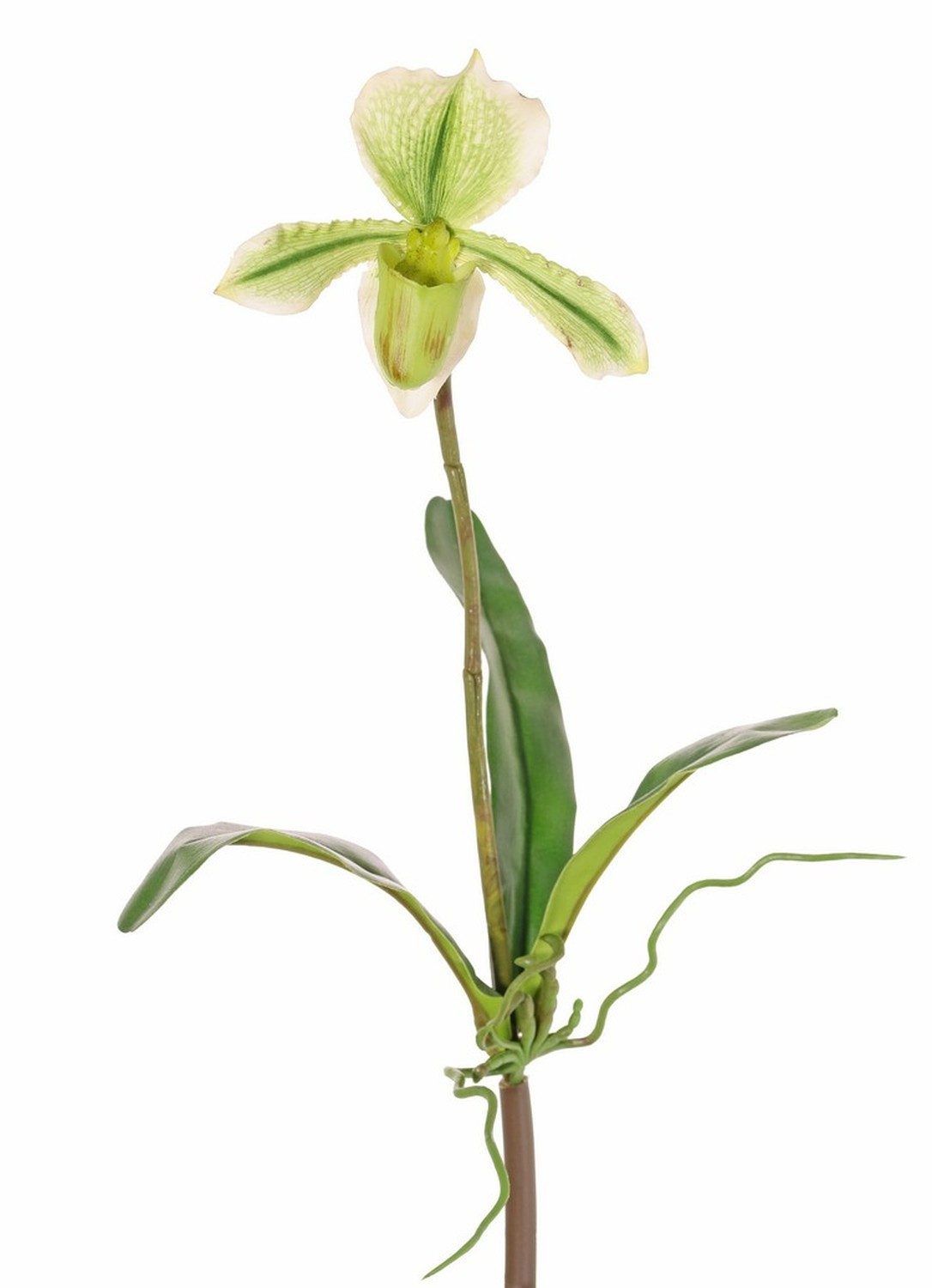 Kunstorchidee Künstliche Paphiopedilum Orchidee VELANA, Steckstab, grün-weiß, 40cm Orchidee (Orchidee paphiopedilum), artplants, Höhe 40.0 cm