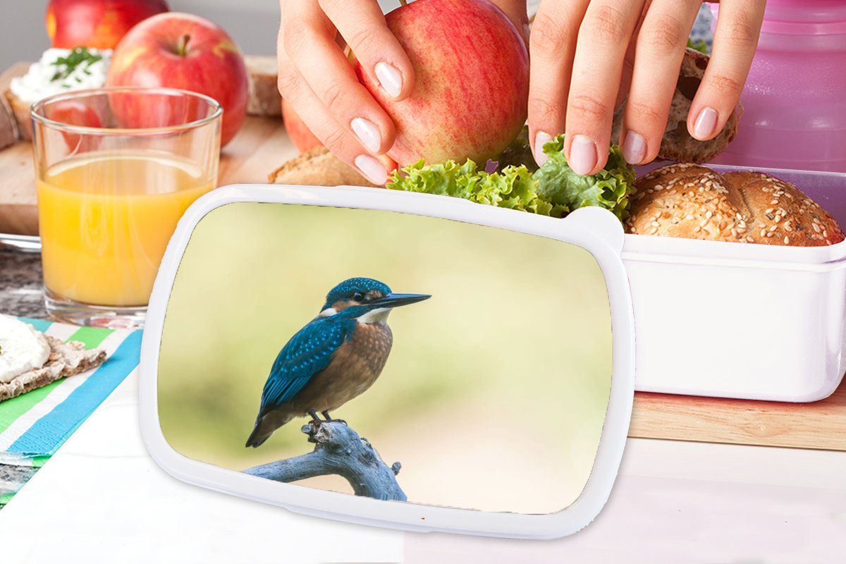 MuchoWow Lunchbox Vogel, Kinder weiß - (2-tlg), für und Kunststoff, für Zweig und Jungs Brotdose, Brotbox - Erwachsene, Mädchen Eisvogel