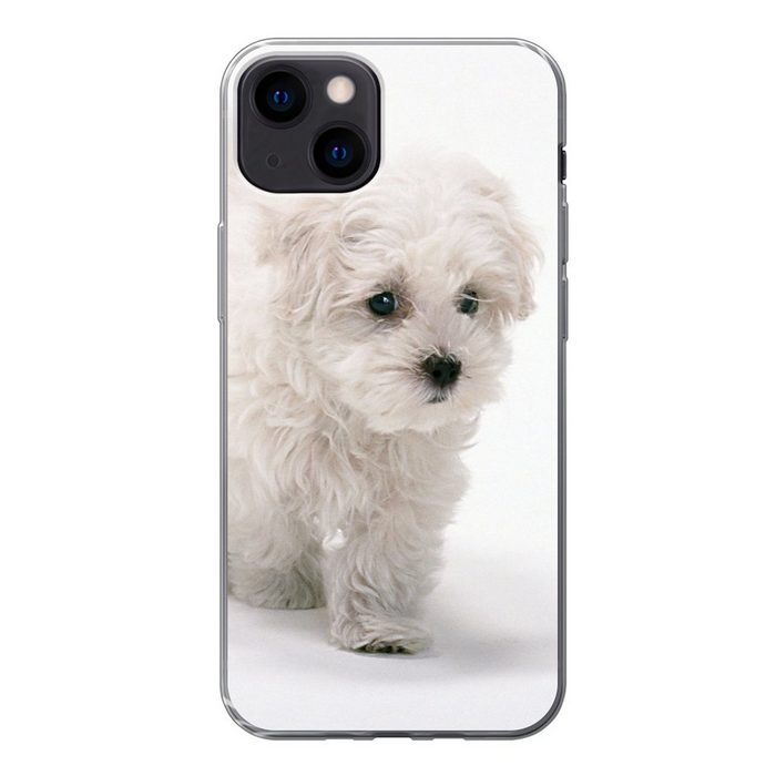 MuchoWow Handyhülle Niedlicher kleiner Malteserhund Handyhülle Apple iPhone 13 Smartphone-Bumper Print Handy