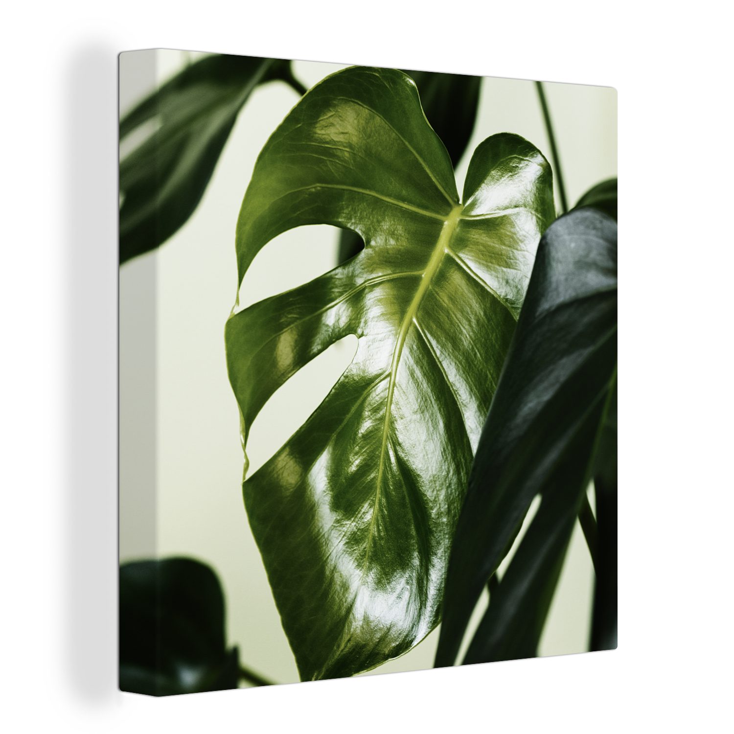für Leinwand Bilder Blättern, Foto OneMillionCanvasses® St), Leinwandbild von dunkelgrünen Wohnzimmer Schlafzimmer (1 botanischen