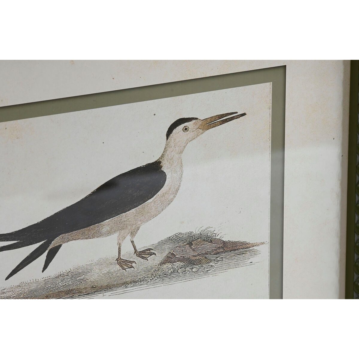 Bigbuy Bild SanLov Vögel Cottage 40x2,5x54 cm Set 6 Stück Wanddekoration farbenfro