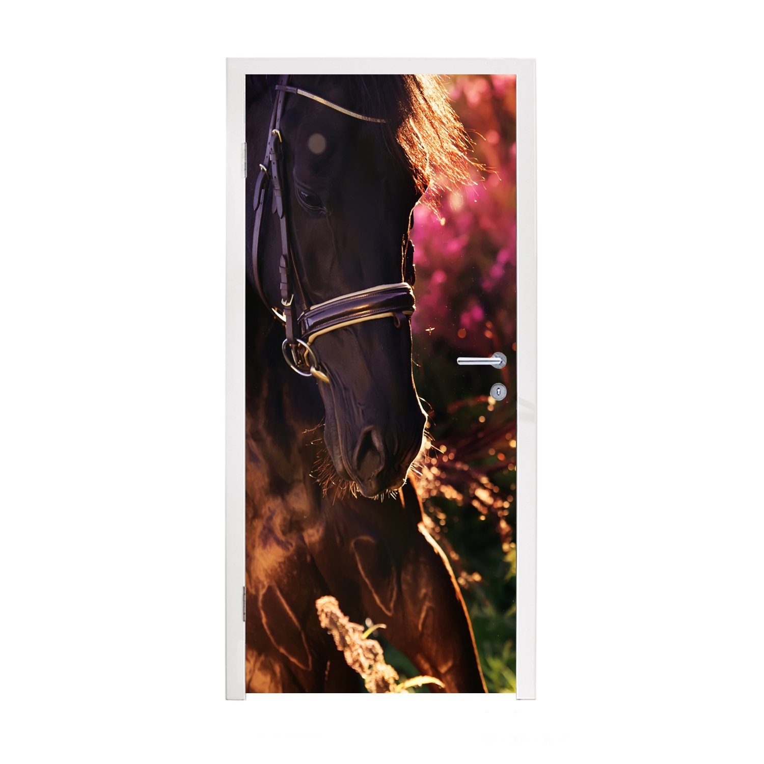 Pferd Sonne (1 Türaufkleber, - St), - 75x205 Matt, bedruckt, cm für Türtapete Tür, Fototapete MuchoWow Porträt,