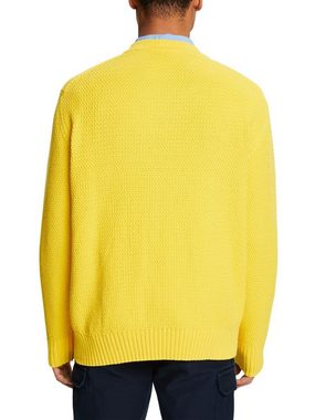Esprit V-Ausschnitt-Pullover Baumwollpullover mit V-Ausschnitt