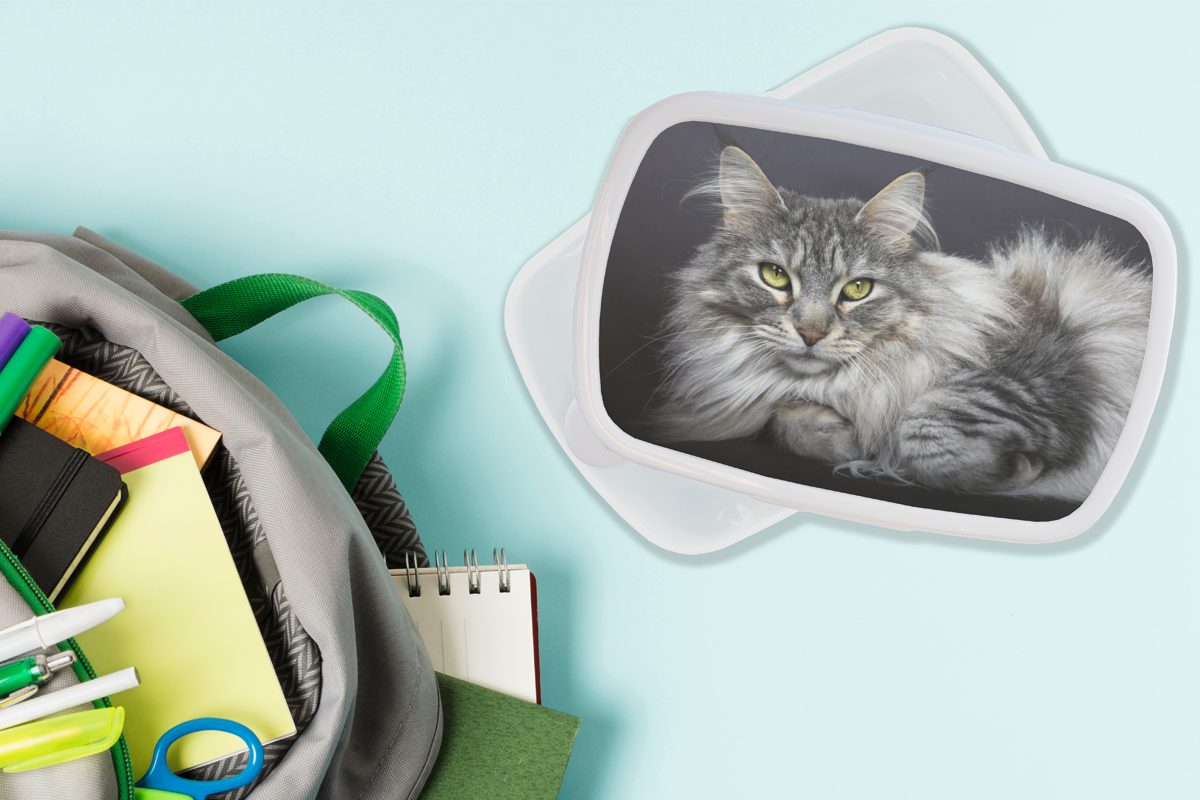 Brotbox Jungs Maine MuchoWow Eine Katze, liegende und und Kunststoff, Lunchbox Brotdose, weiß Coon Mädchen für schöne für Kinder (2-tlg), Erwachsene,