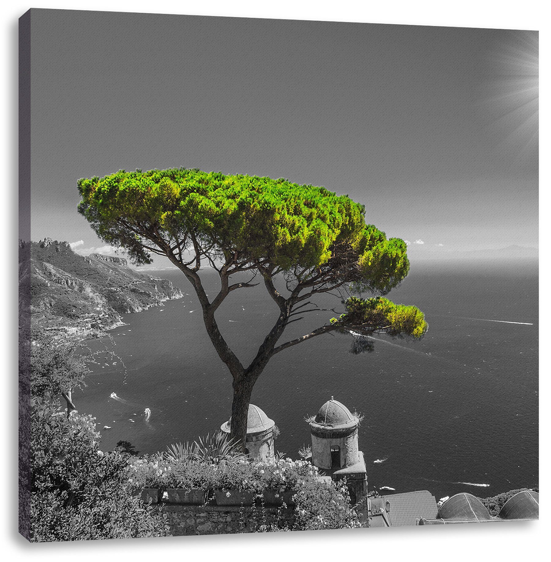 Pixxprint Leinwandbild Baum Zackenaufhänger Baum Leinwandbild fertig bespannt, Mittelmeer, am am St), (1 inkl. Mittelmeer