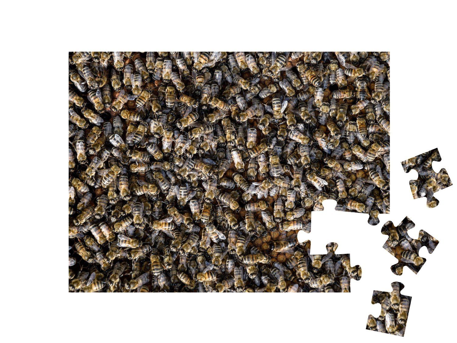 puzzleYOU-Kollektionen Impossible Spezielle Schwarm puzzleYOU Puzzle-Themen Honigbienen, 48 Puzzle Puzzle, Ein Puzzleteile,