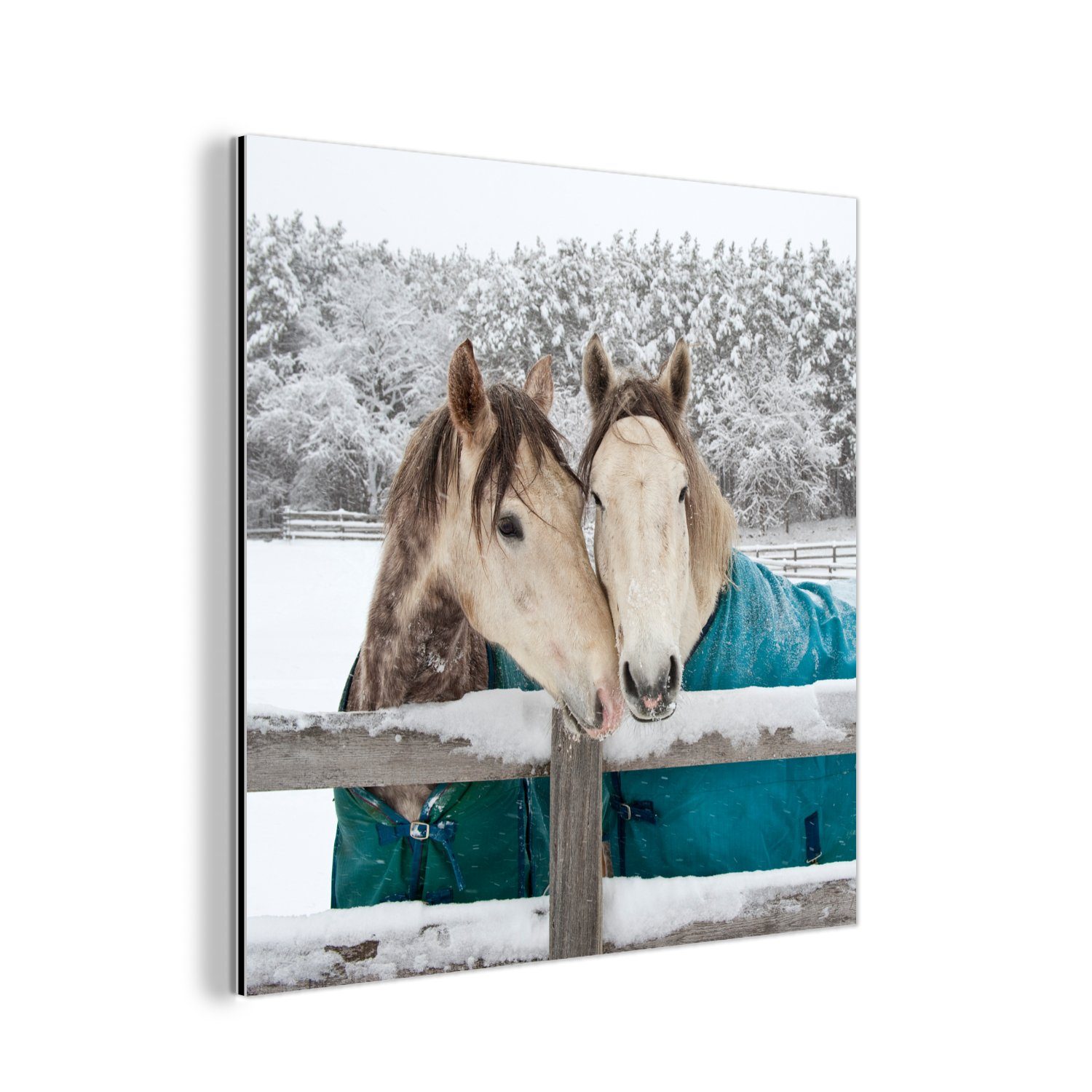 MuchoWow Metallbild Pferde - Decke - Schnee, (1 St), Alu-Dibond-Druck, Gemälde aus Metall, Aluminium deko