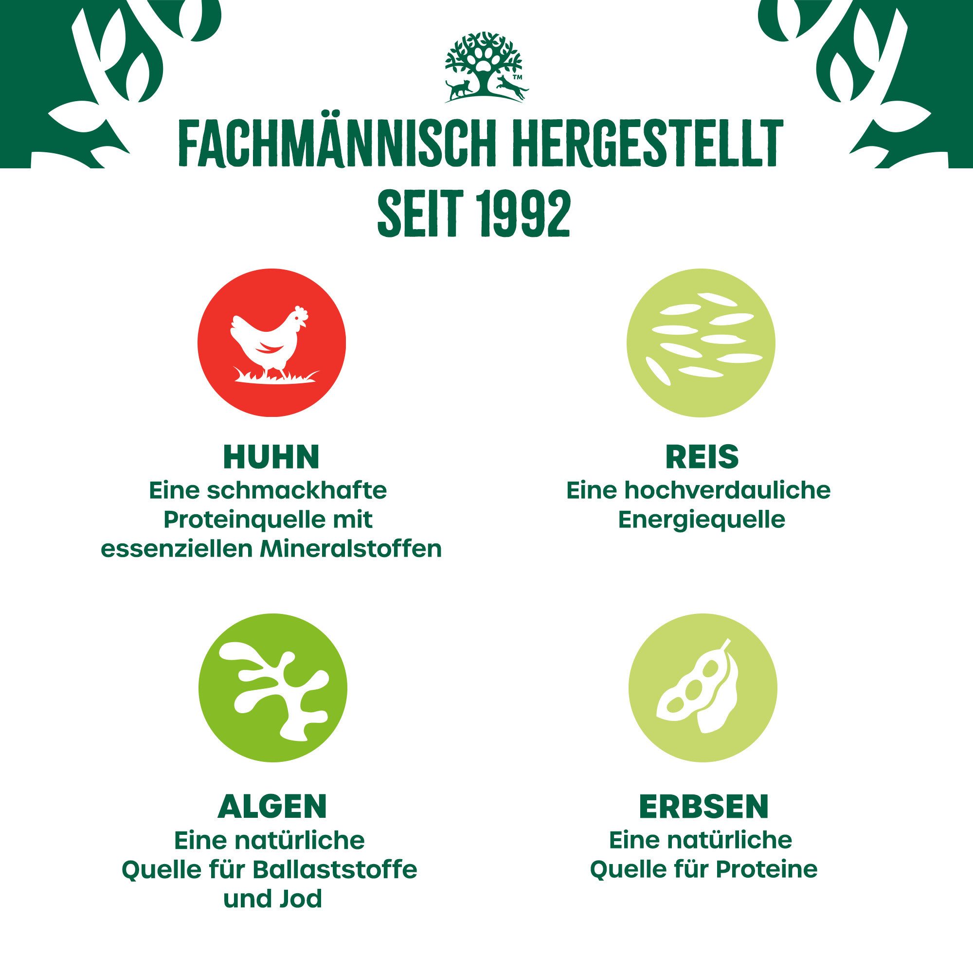 James Wellbeloved JAMES WELLBELOVED™ Hund Dose Junior Huhn Pastete 800g, Nassfutter für: Hunde