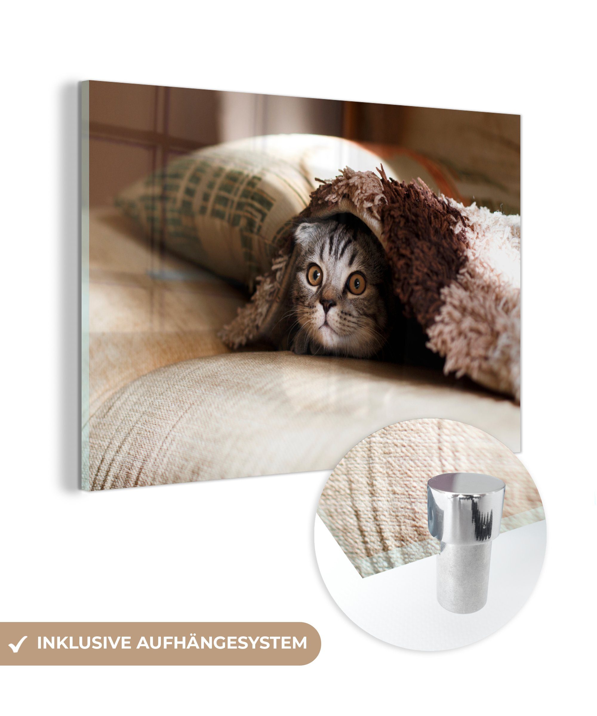 MuchoWow Acrylglasbild Katze - Decke - Bank, (1 St), Acrylglasbilder Wohnzimmer & Schlafzimmer