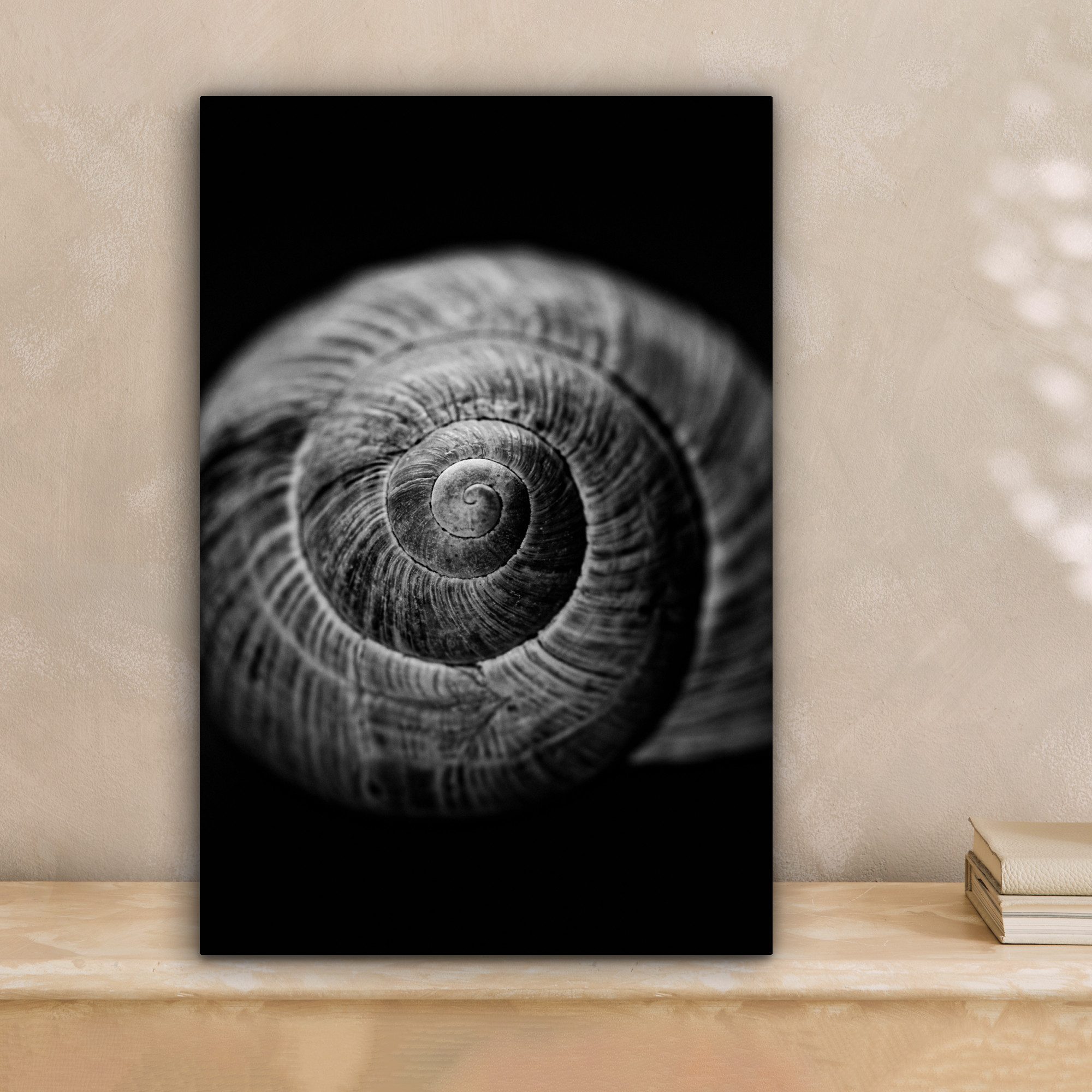 OneMillionCanvasses® Leinwandbild Schnecke - Tiere - günstig online kaufen