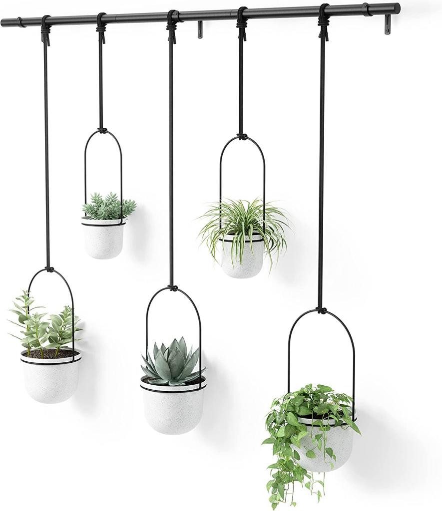 Umbra Blumenampel Triflora Hängeblumentopf, Wandvase, Blumentopf, günstig online kaufen