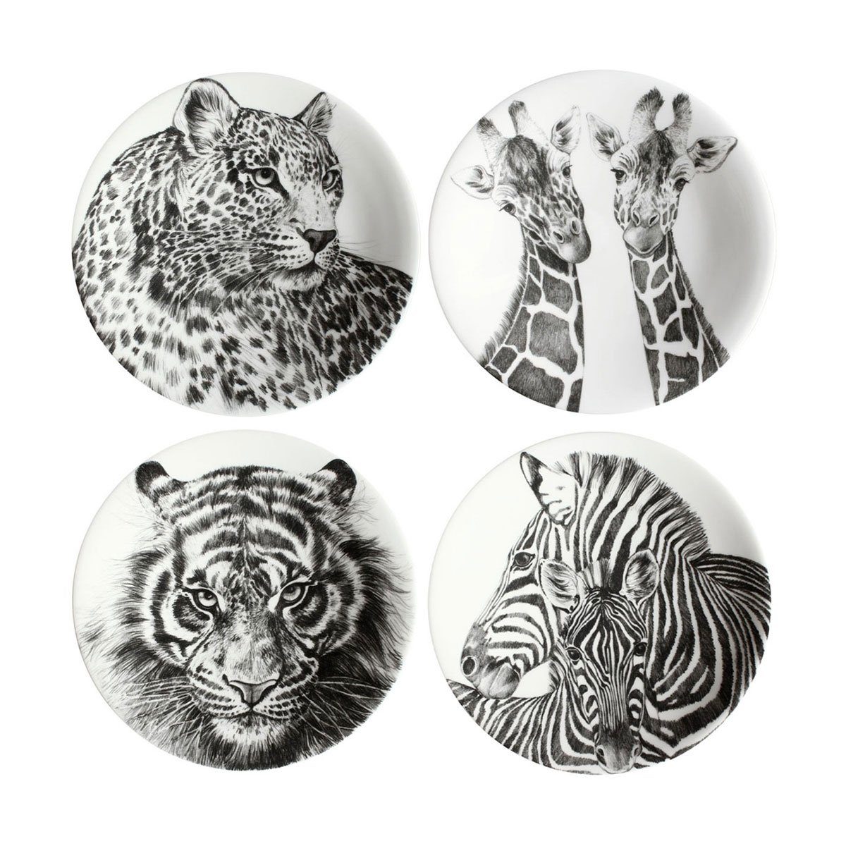 TAITÙ Teller Wild Spirit