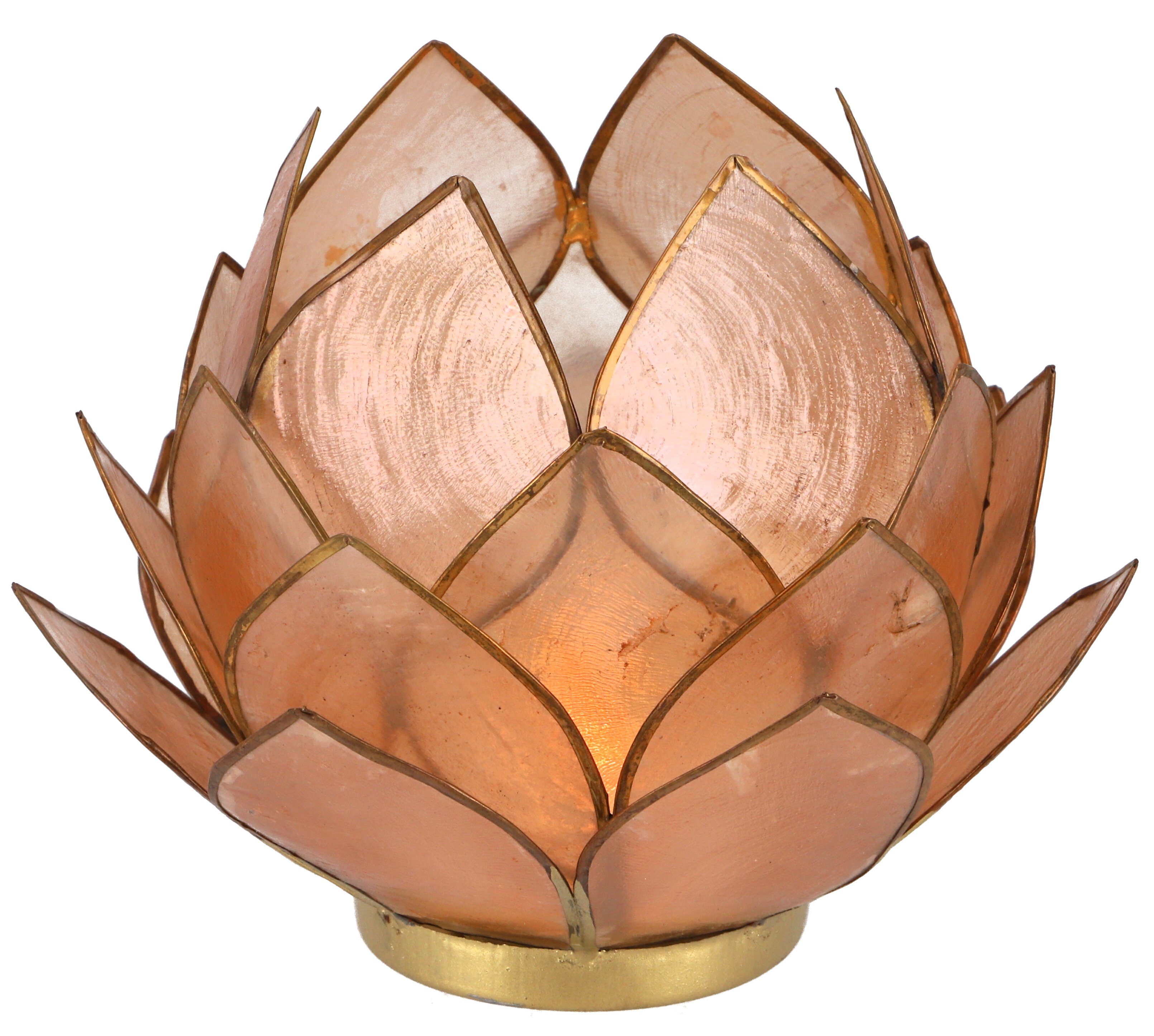 sandfarben Windlicht 14*10 Muschel Teelicht Lotus Guru-Shop - cm