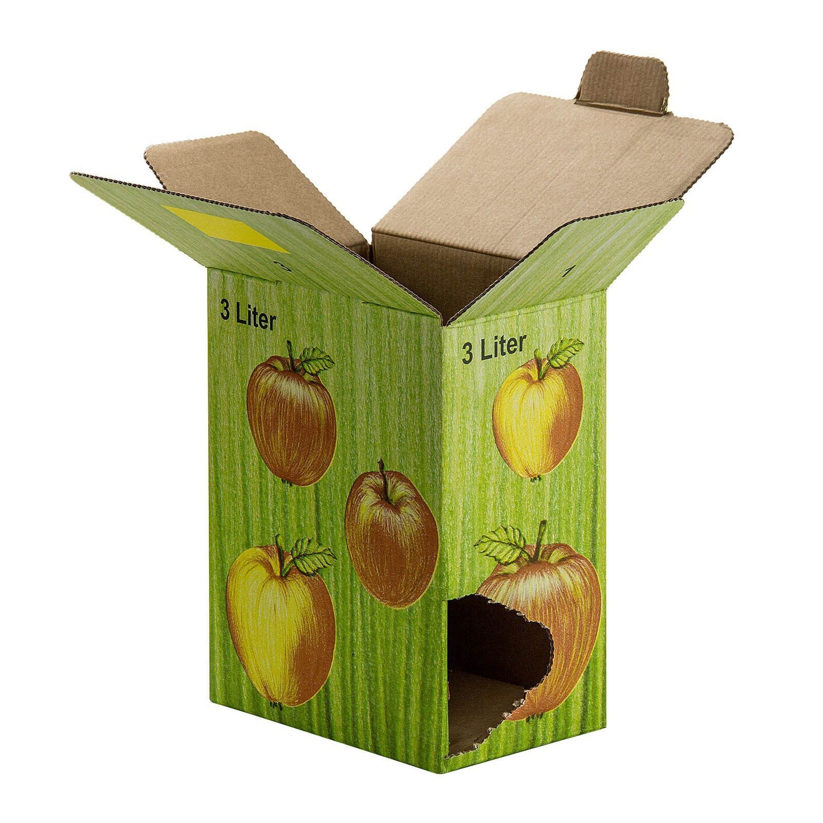 DEMA Entsafter 10x Bag in Box Karton 3L Faltkarton Apfeldekor – Bild 4 von 5