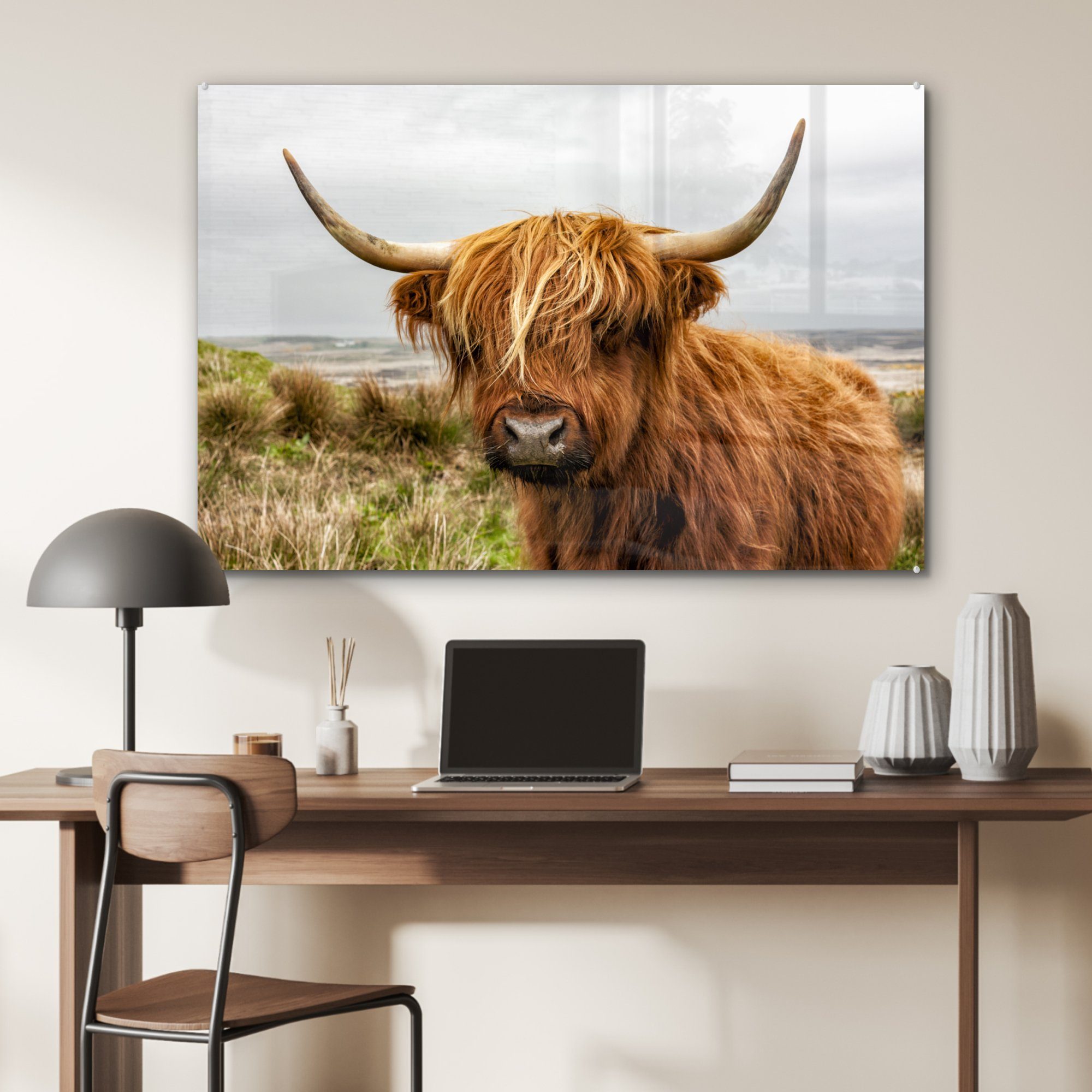 - Acrylglasbilder Acrylglasbild Schlafzimmer Wohnzimmer MuchoWow - Kuh St), & Highlander Schottischer Dünen, (1