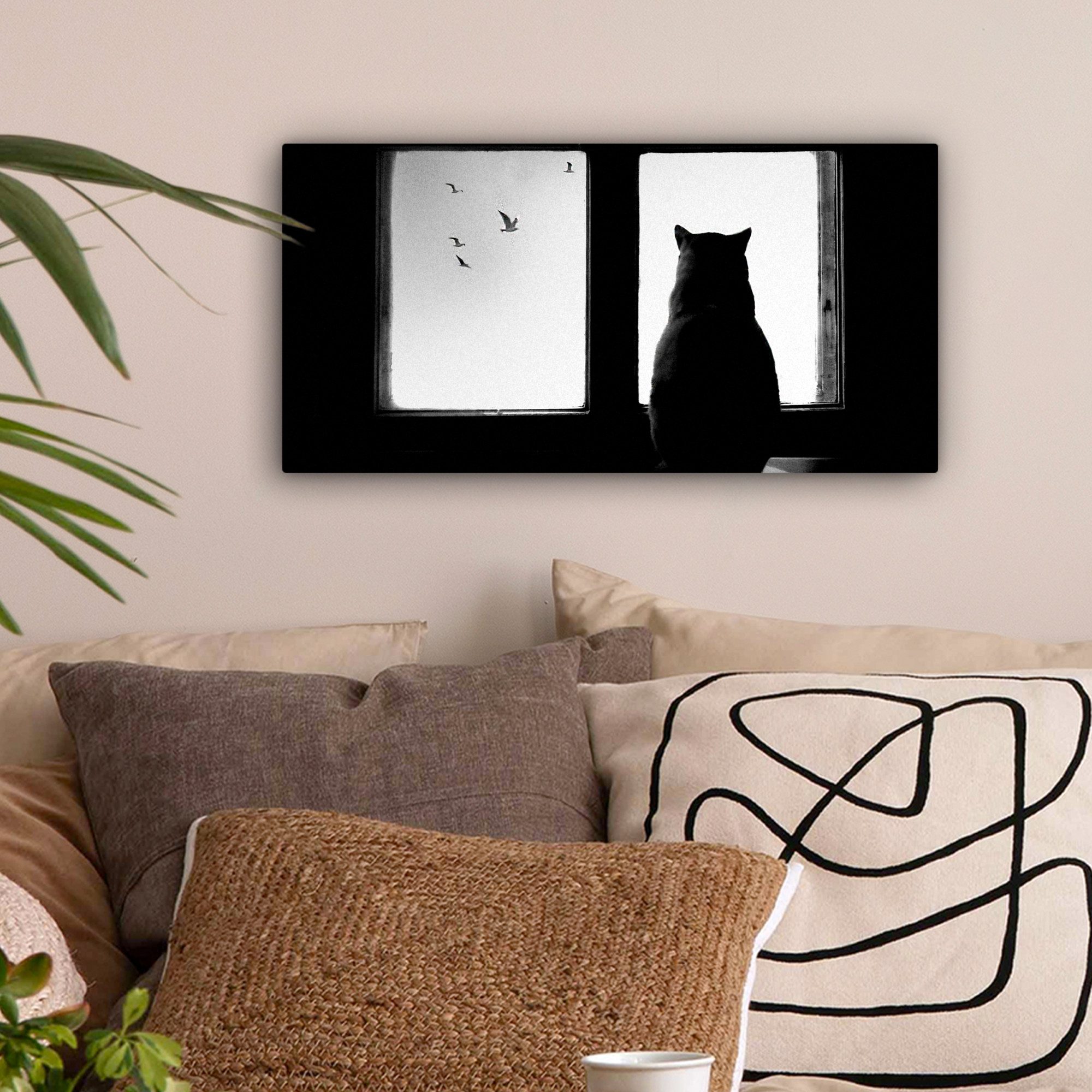 OneMillionCanvasses® Leinwandbild Panorama Katze - Tiere günstig online kaufen
