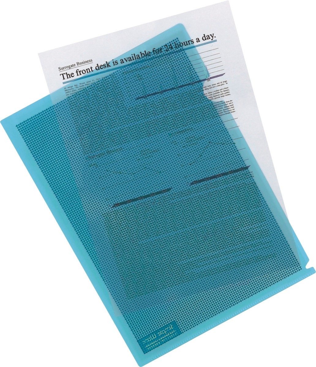 PLUS JAPAN Prospekthülle Hüllen Camouflage A4 mit Sichtschutz VE=5 Stück blau