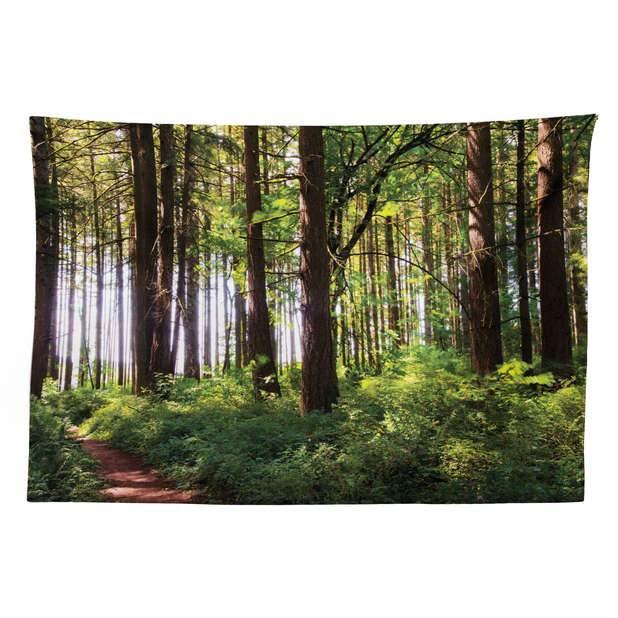 Abakuhaus Wandteppich aus Weiches Mikrofaser Stoff günstig online kaufen