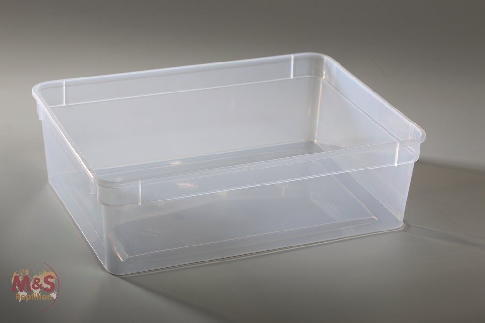 Terrarium Kunststoffbox transparent, groß (24x18x7,5 cm) OHNE Deckel