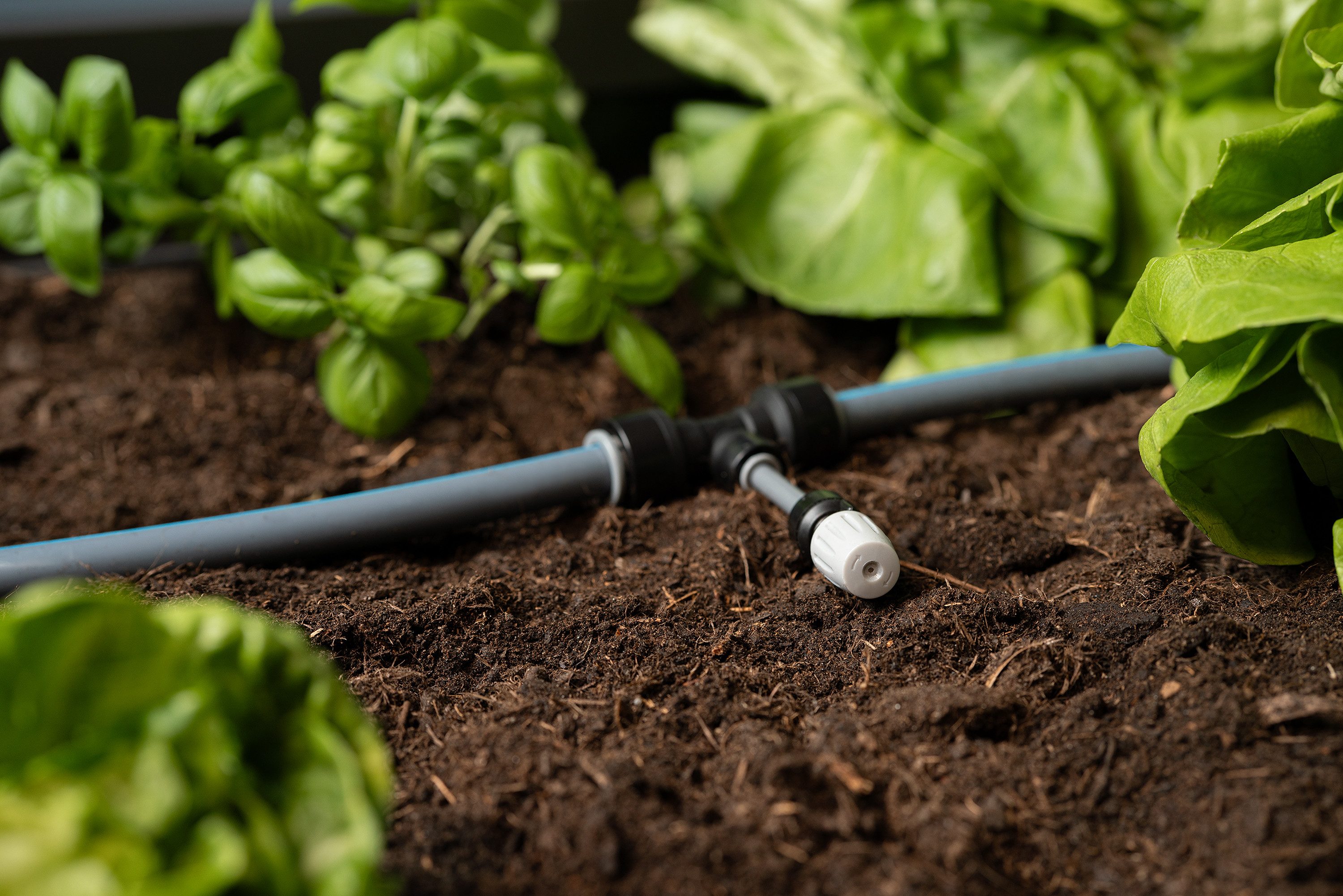 Biohort Bewässerungssystem zu Hochbeet, Pflanzbeet Belvedere, Gewächshaus Florentina, Effiziente Tropfbewässerung für gesundes Pflanzenwachstum