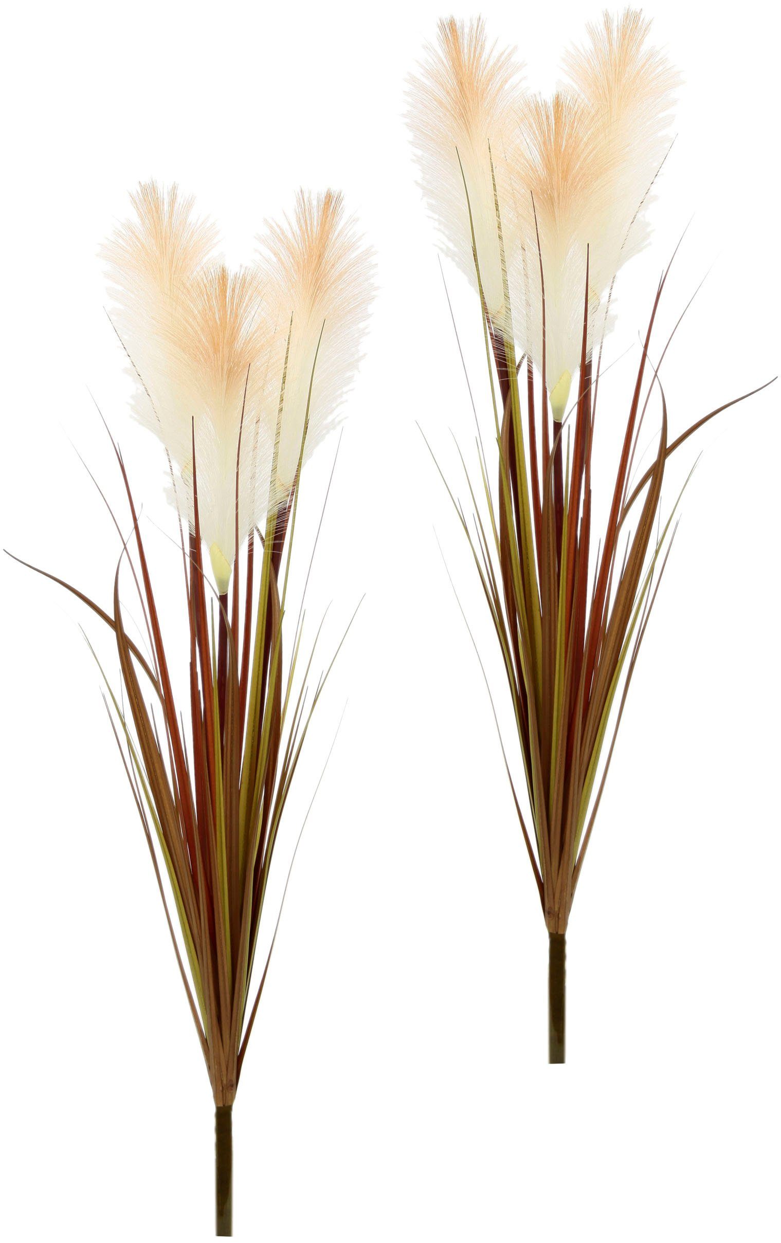 Kunstblume Pampasgras