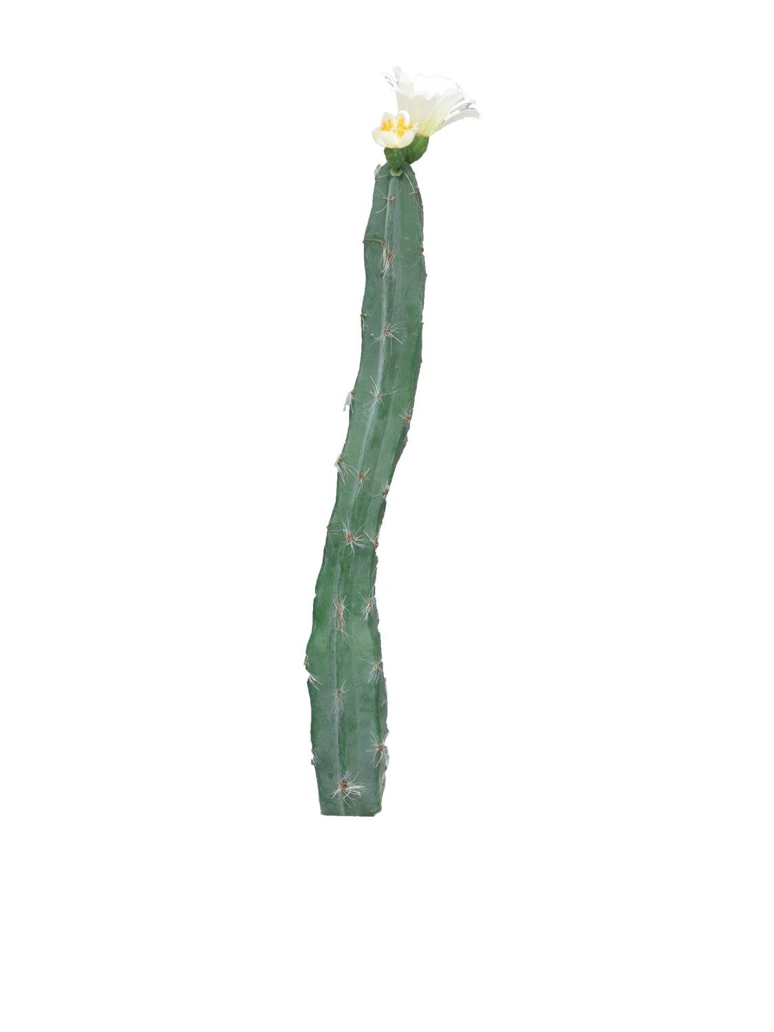 Kunstkaktus Deko Säulenkaktus ANRAN mit Blüten, Steckstab, Creme, 35 cm Säulenkaktus, artplants, Höhe 35.0 cm