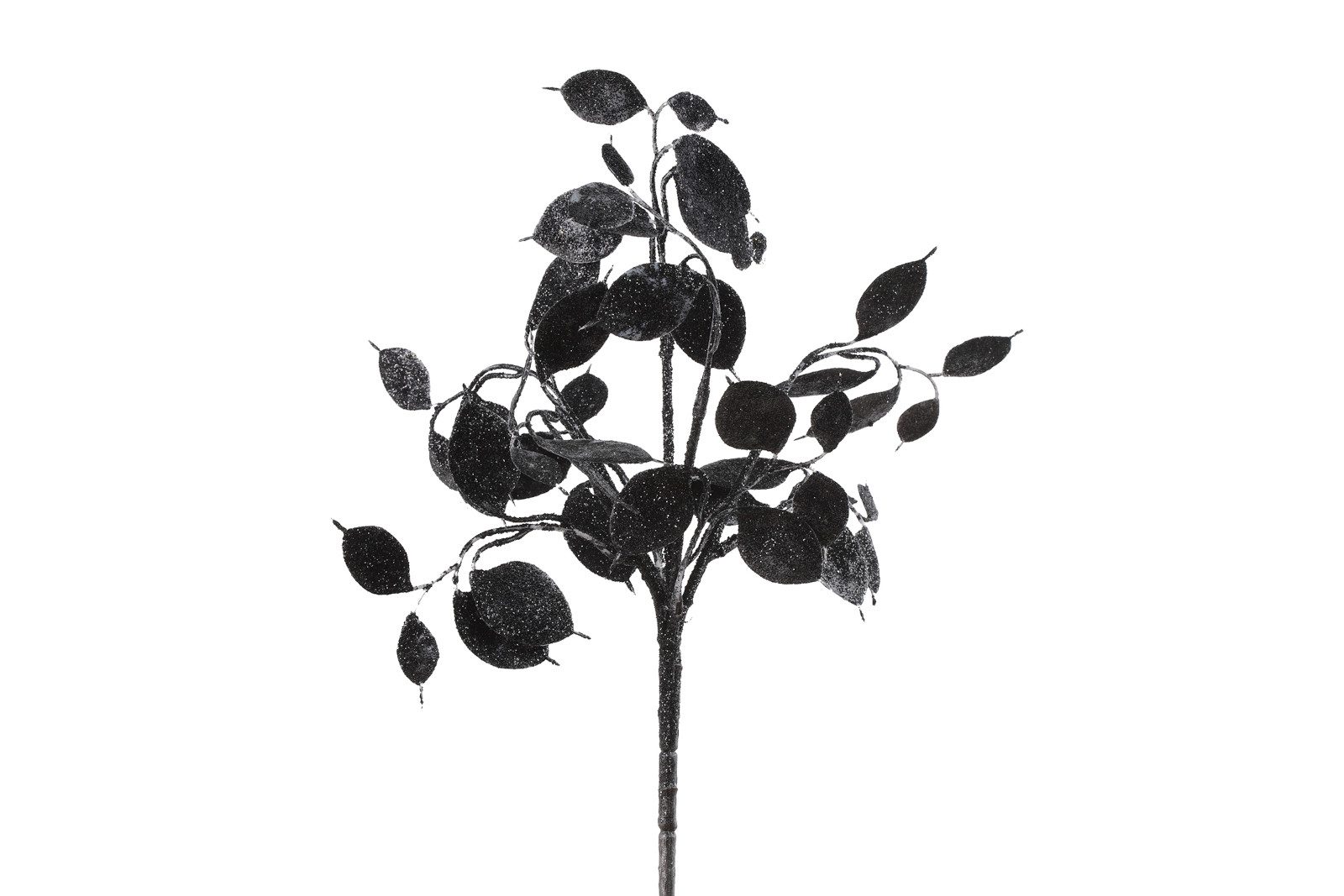 Kunstzweig Dekozweig Lunaria schwarz 40cm