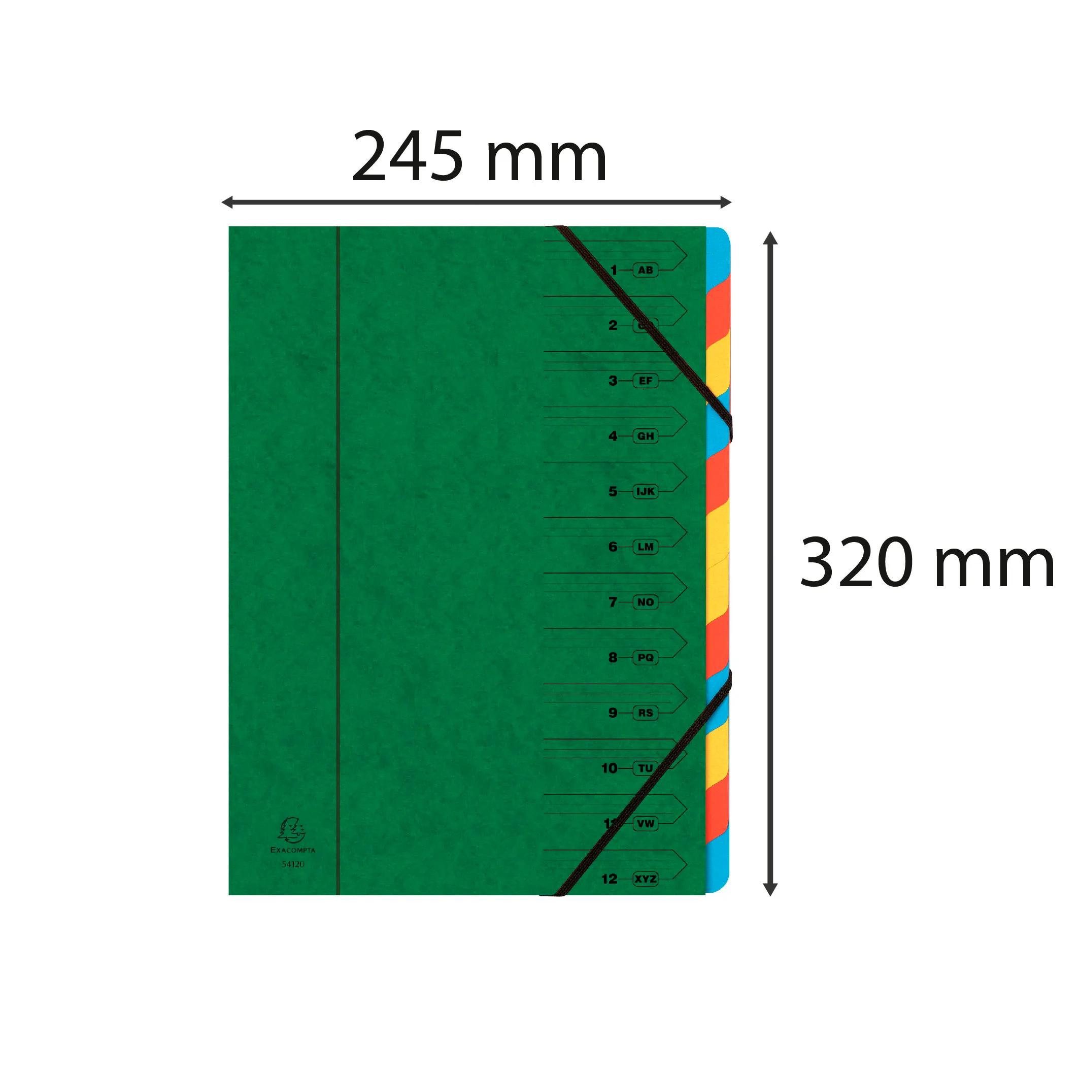 EXACOMPTA Fächermappe 8x Ordnungsmappe Karton 355g/m2 + Gummizug 12 Fächer A4 Grün 54123E, Manila gehefte Ordnungsmappe