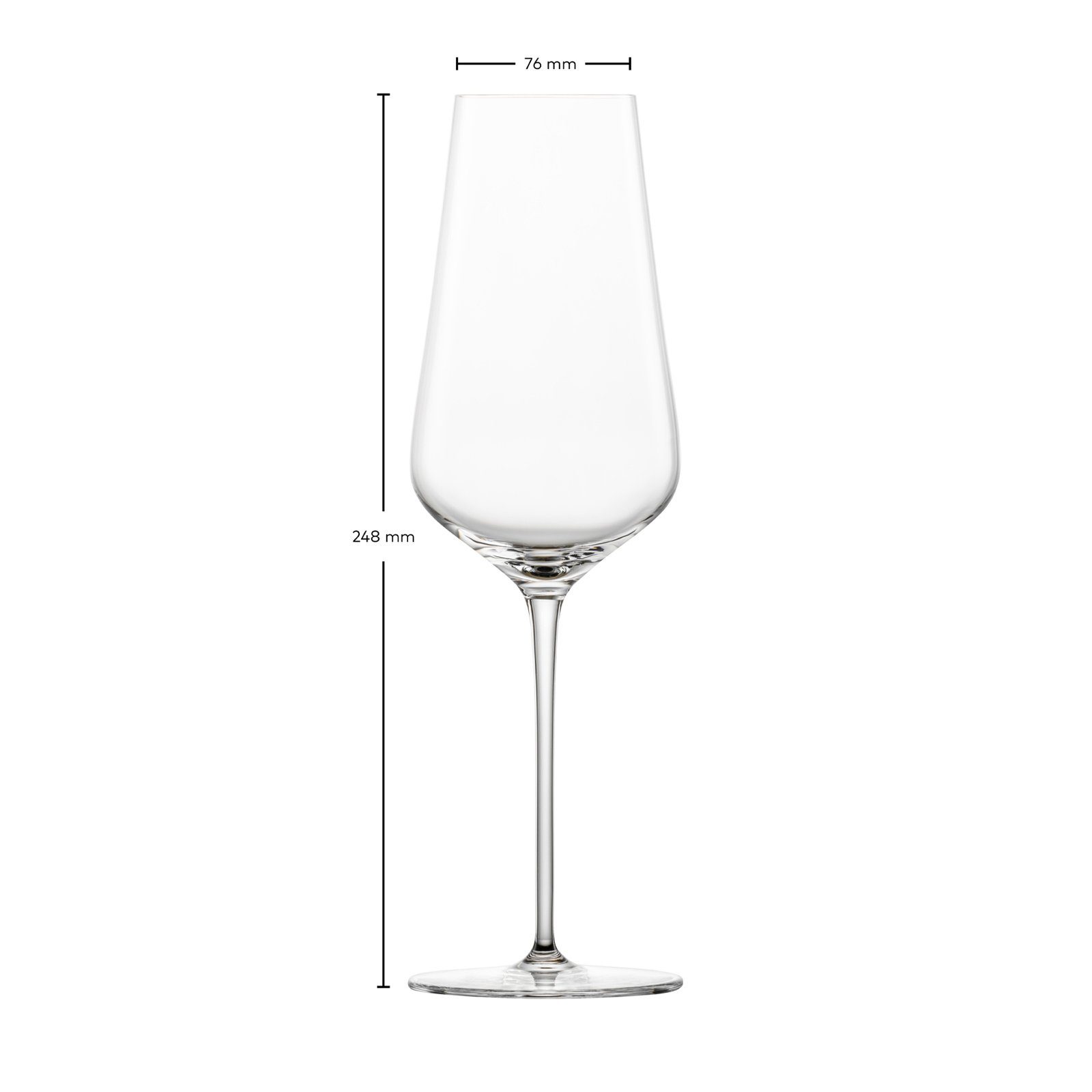 Zwiesel Glas Champagnerglas Duo Champagnergläser 378 ml 2er Set, 2-tlg., Glas