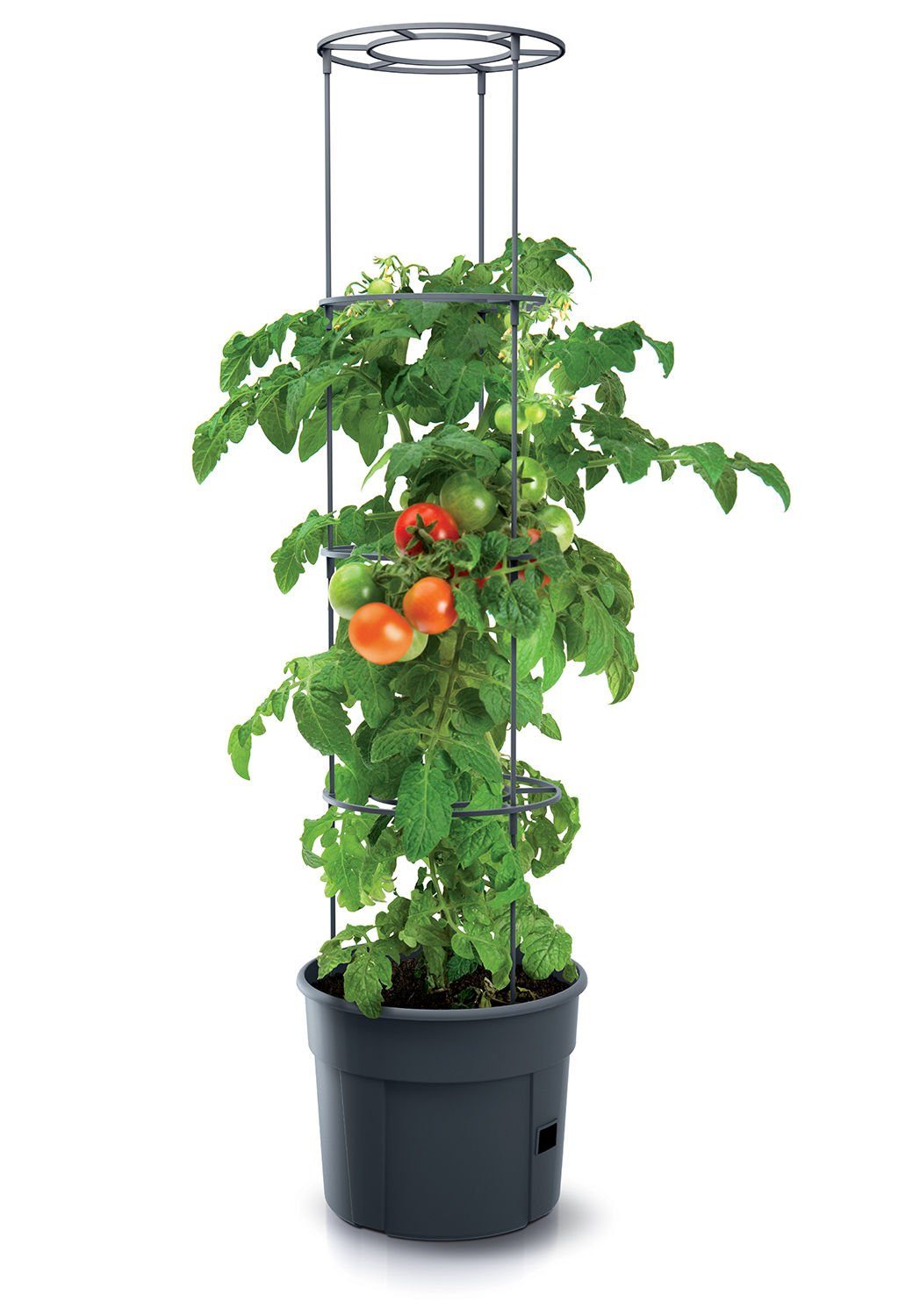Spetebo Blumentopf Tomaten Pflanz Topf m. Rankhilfe - 153x29 cm