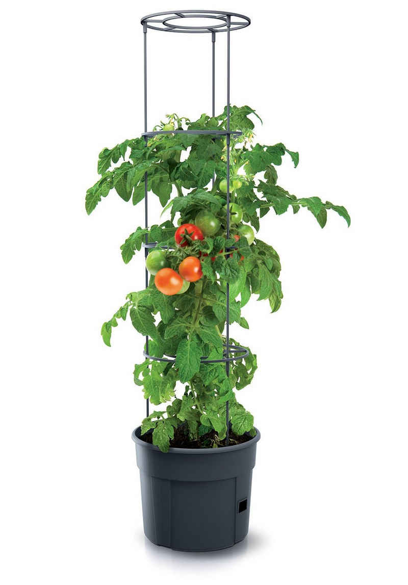 Spetebo Blumentopf Tomaten Pflanz Topf m. Rankhilfe - 153x29 cm (Stück, 1 St., Rankhilfe), Anwuchshilfe mit integriertem Bewässerungsboden