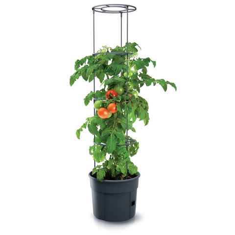Spetebo Blumentopf Tomaten Pflanz Topf m. Rankhilfe - 153x29 cm (Stück, 1 St., Rankhilfe), Anwuchshilfe mit integriertem Bewässerungsboden