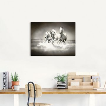 Artland Leinwandbild Herde von weißen Pferden, Haustiere (1 St), auf Keilrahmen gespannt