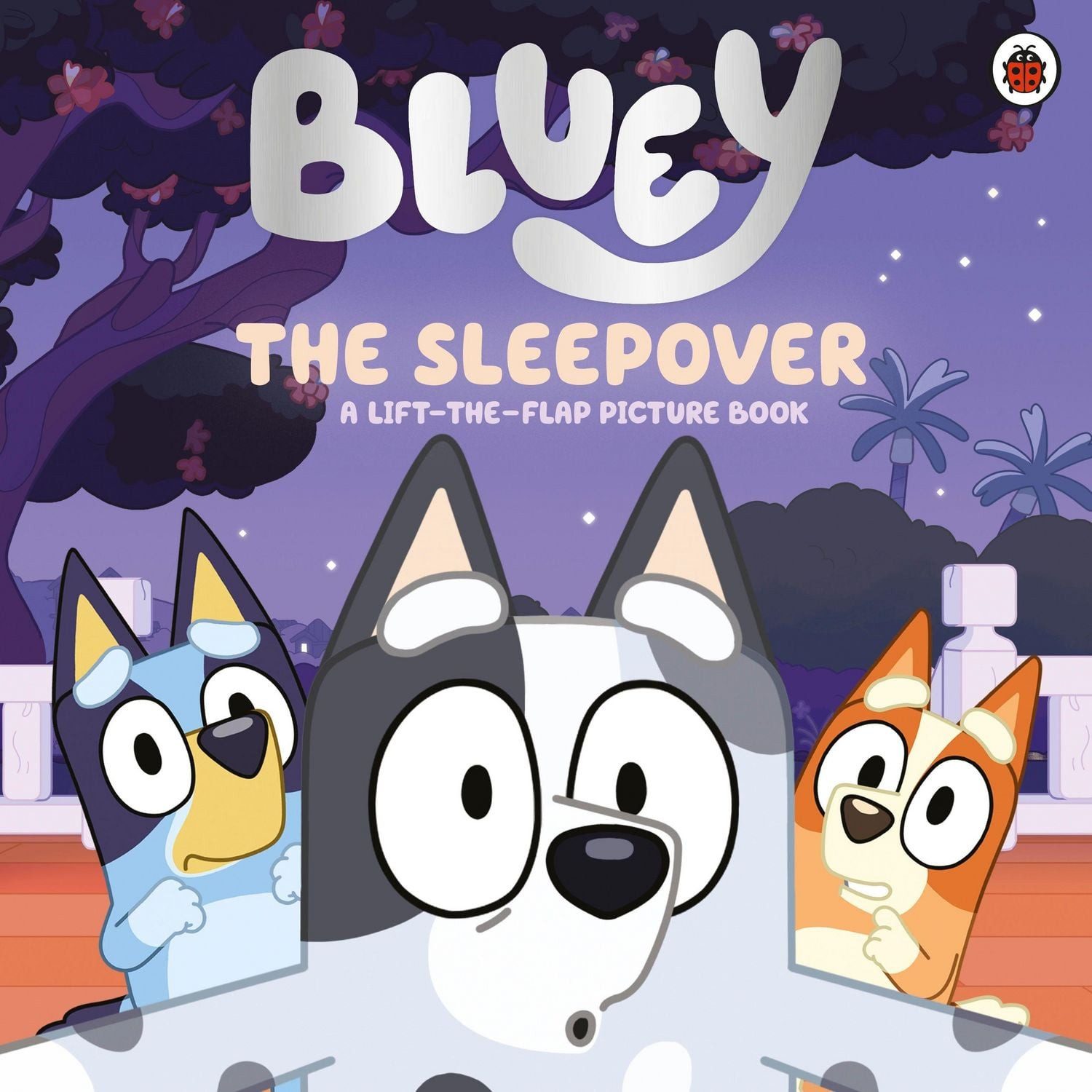 Bluey: The Sleepover / Bluey