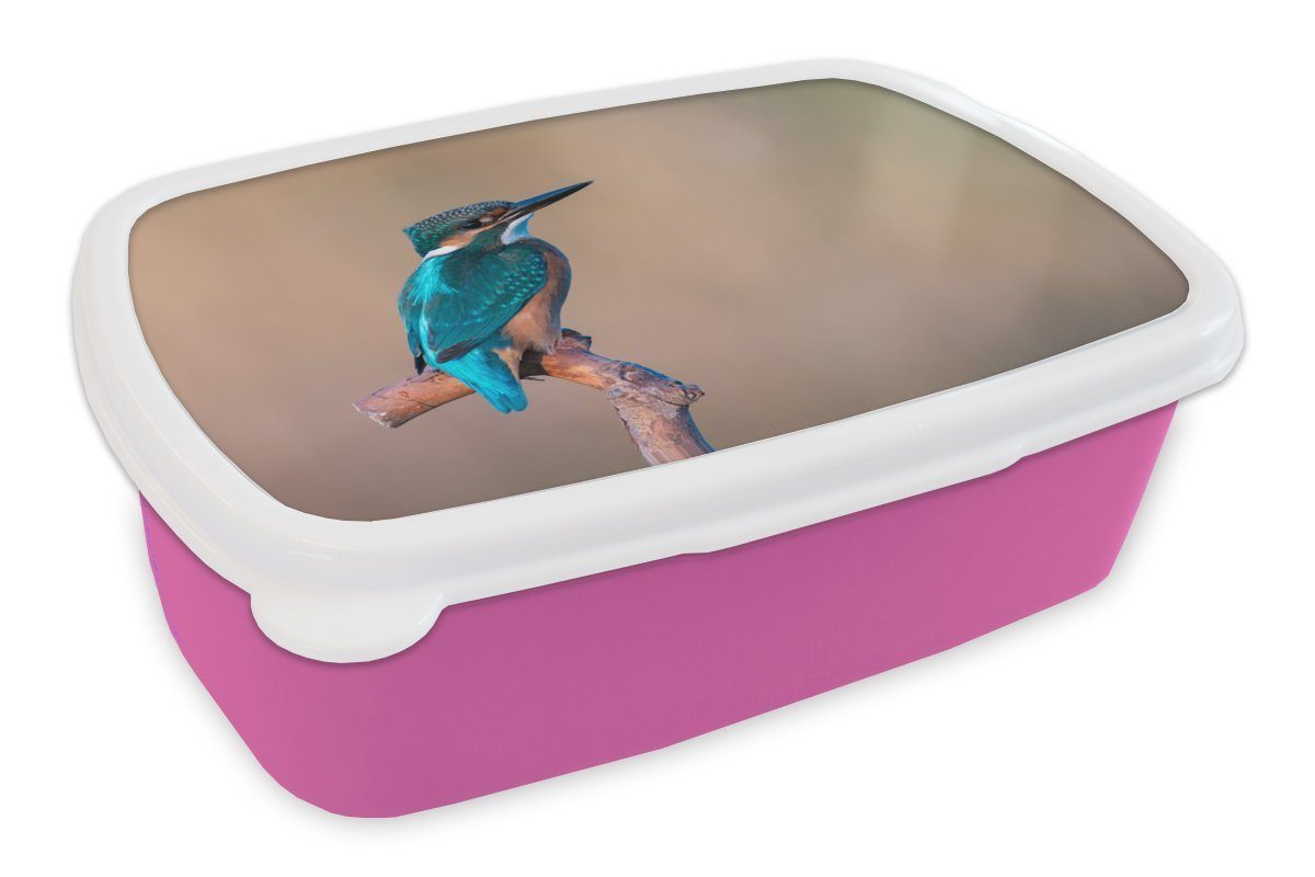 MuchoWow Lunchbox Eisvogel - Porträt - Zweig, Kunststoff, (2-tlg), Brotbox für Erwachsene, Brotdose Kinder, Snackbox, Mädchen, Kunststoff rosa | Lunchboxen