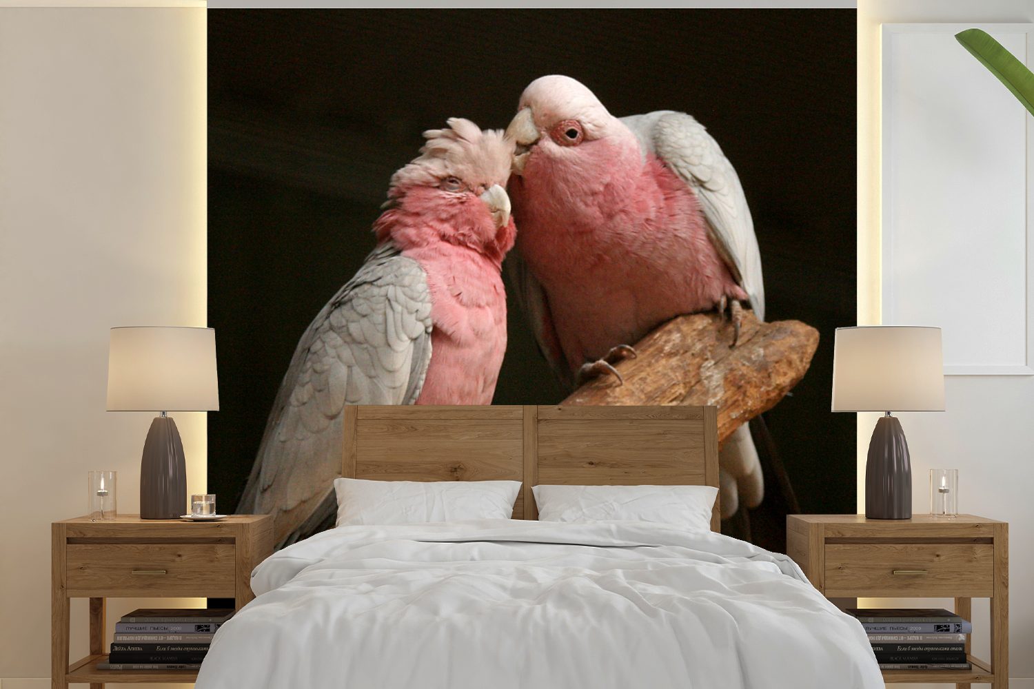 MuchoWow Fototapete Zwei küssende Kakadus Tapete auf oder für Wohnzimmer Hintergrund, Schlafzimmer, Matt, St), (5 Wandtapete bedruckt, schwarzen Vinyl einem
