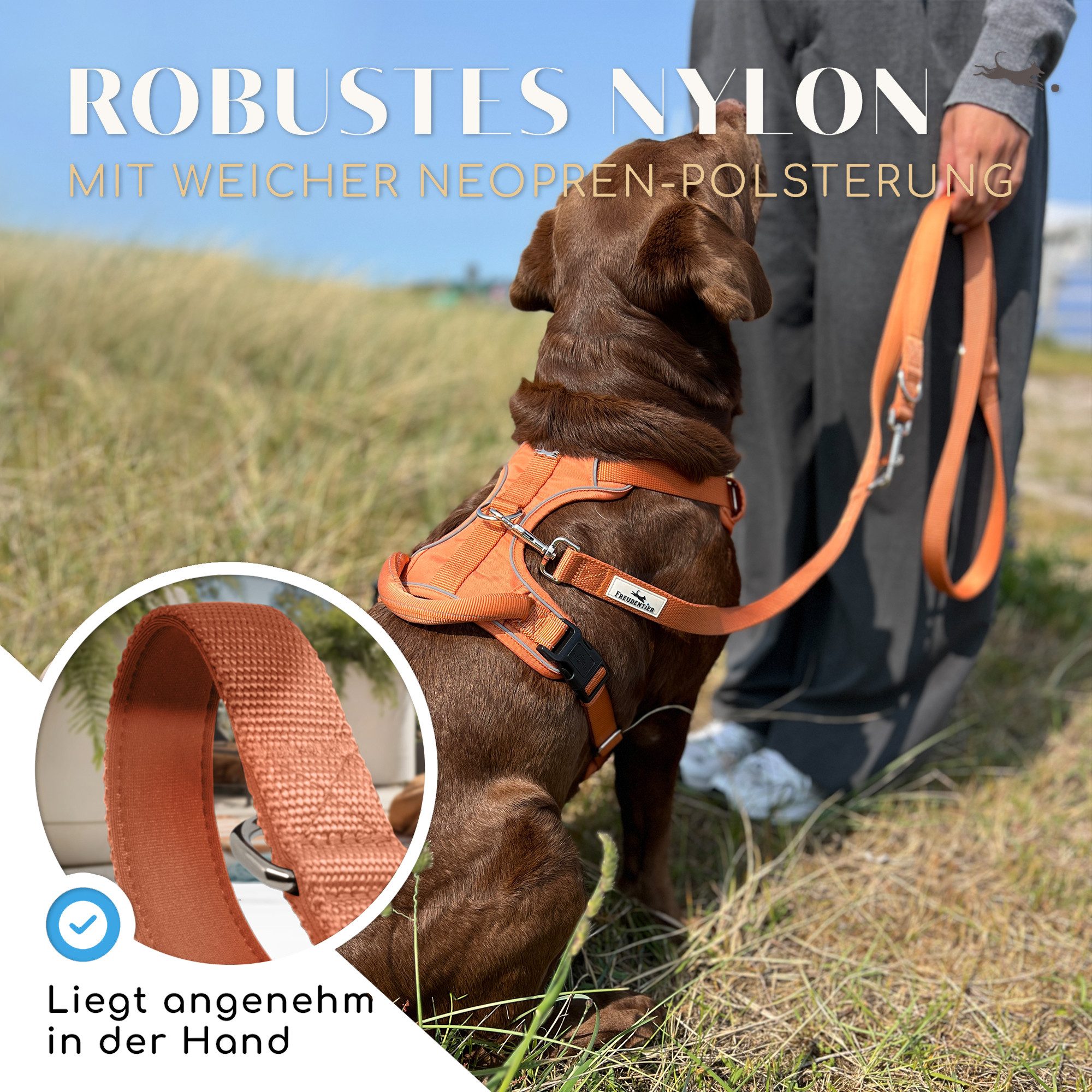 Freudentier Hundeleine 2m, verstellbar & gepolstert, Führleine aus Nylon, für mittelgroße & große Hunde