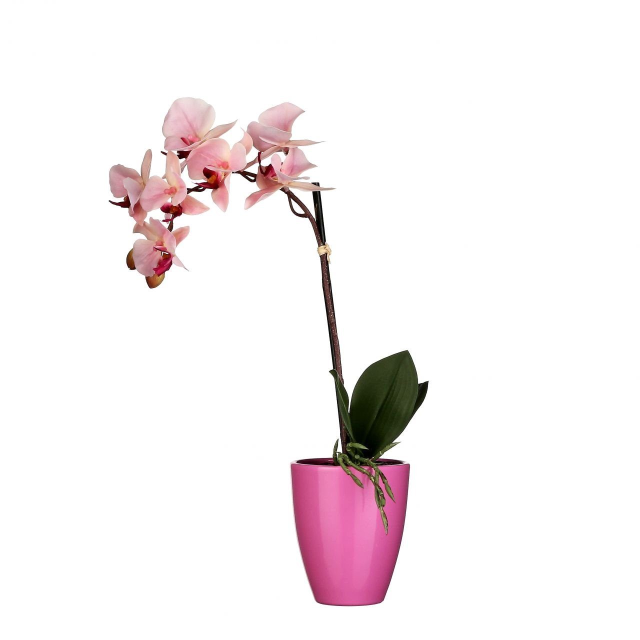 Kunstpflanze Mica Kunstpflanze Phalaenopsis im Topf rosa, 42 x, Mica Decorations