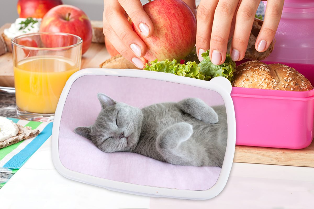 Mädchen, (2-tlg), Teppich, Kunststoff schläft für Brotbox Lunchbox MuchoWow auf rosa Graue Kinder, Katze Brotdose Erwachsene, Snackbox, Kunststoff,