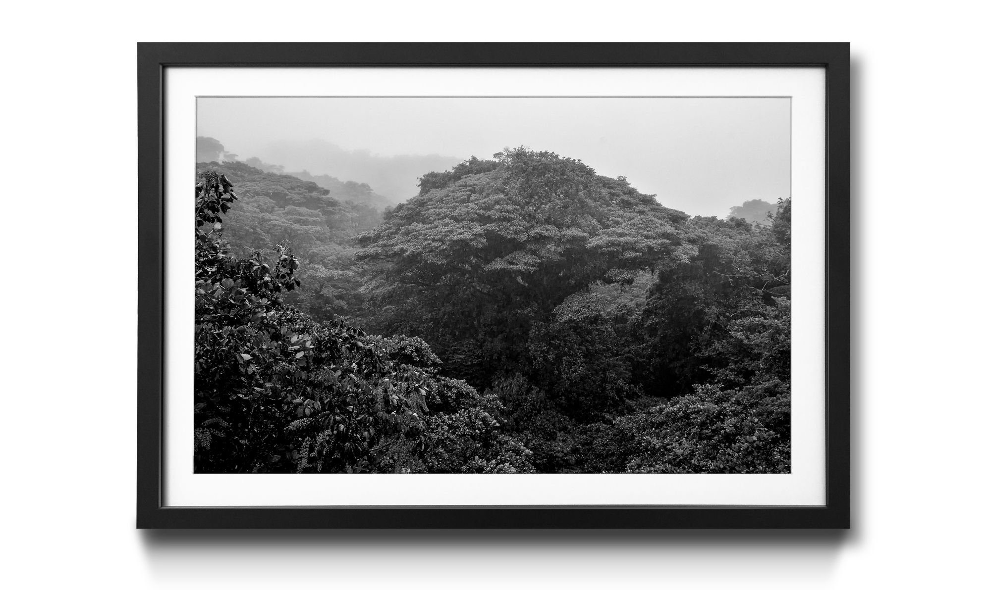 in Wald, Kunstdruck 4 Jungle, WandbilderXXL Größen erhältlich Wandbild,