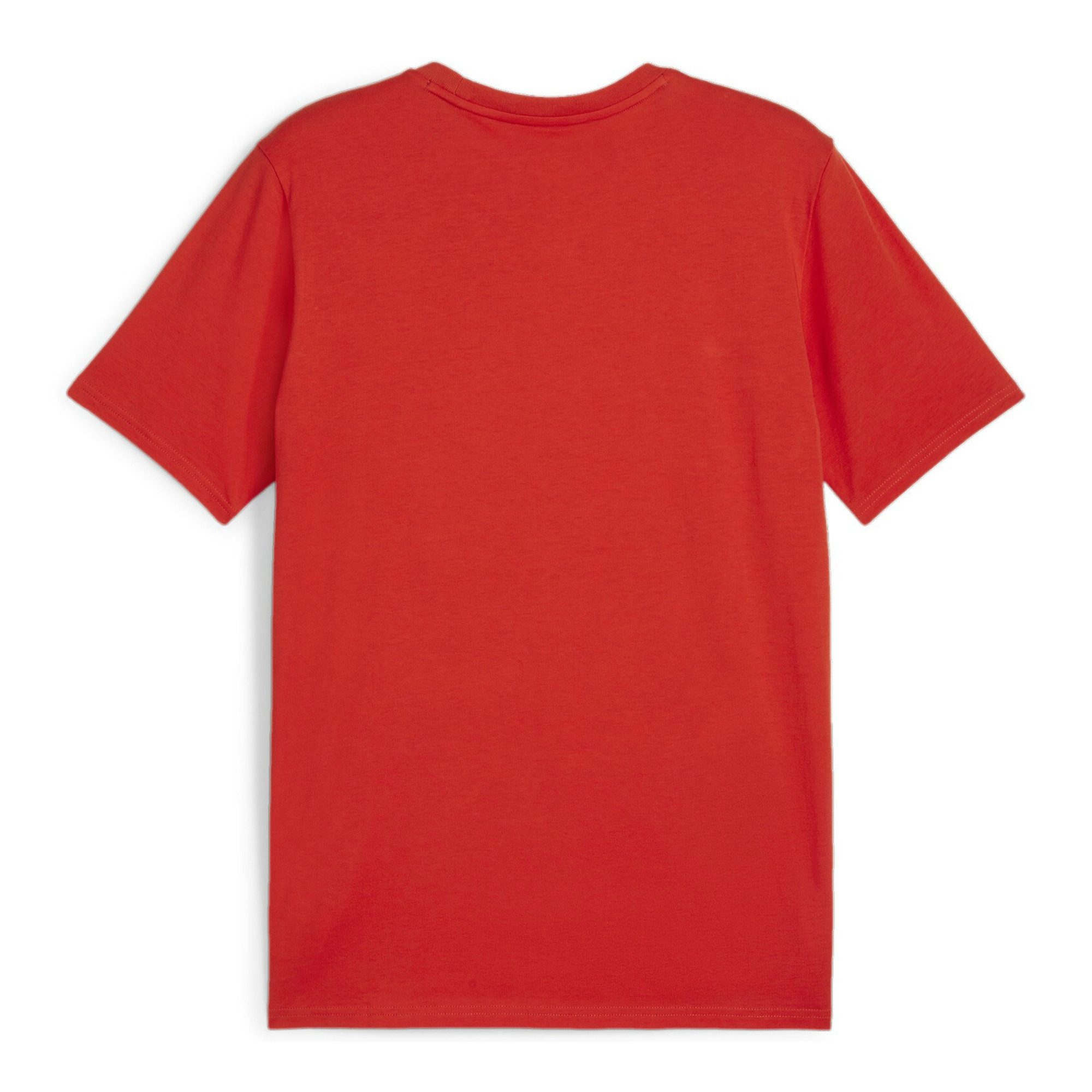 PUMA T-Shirt Puma Herren T-Shirt teamGOAL günstig online kaufen