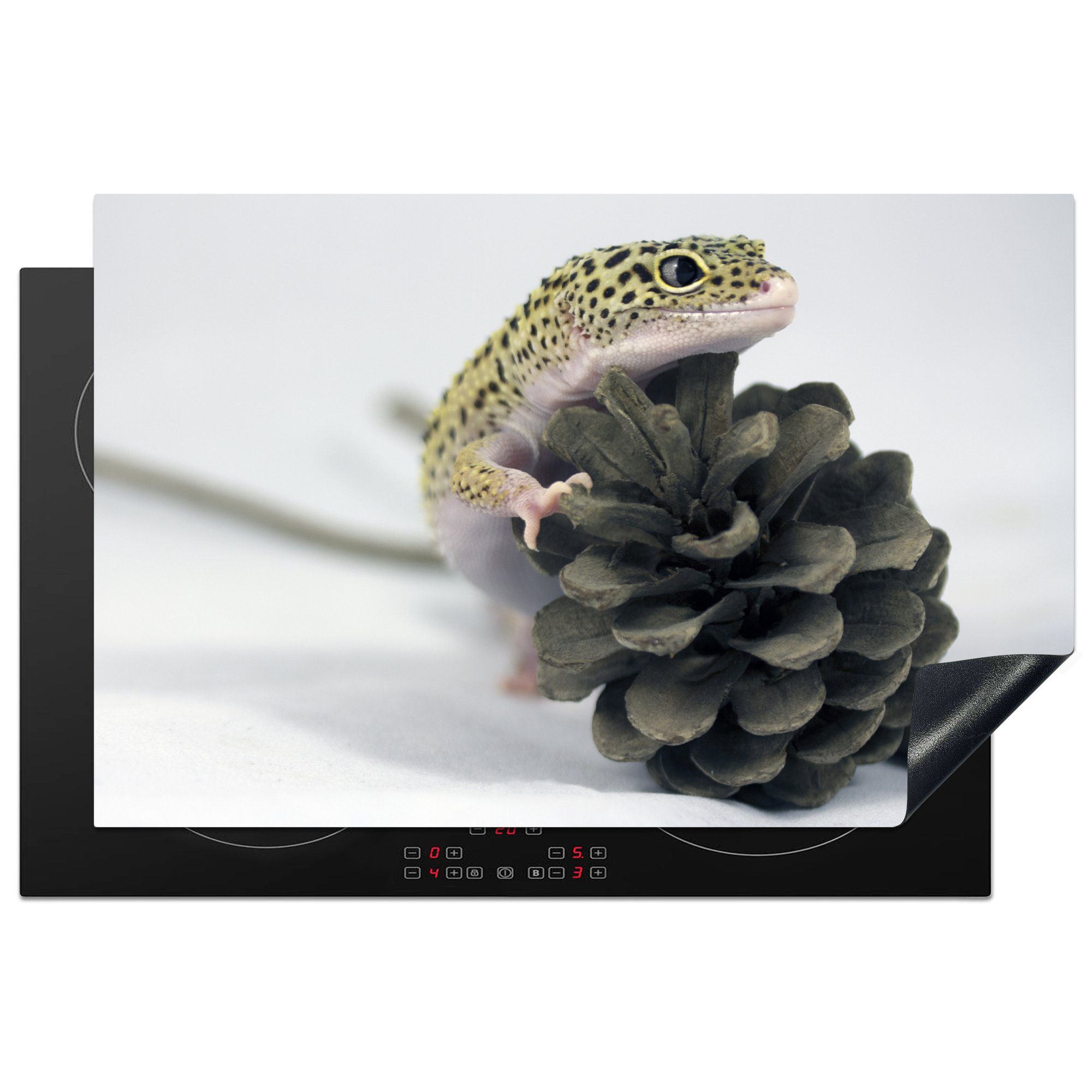 MuchoWow Herdblende-/Abdeckplatte Gecko auf einer Kiefer, Vinyl, (1 tlg), 81x52 cm, Induktionskochfeld Schutz für die küche, Ceranfeldabdeckung